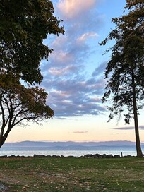 Beach access walkway