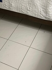 Dirt on the floor when we