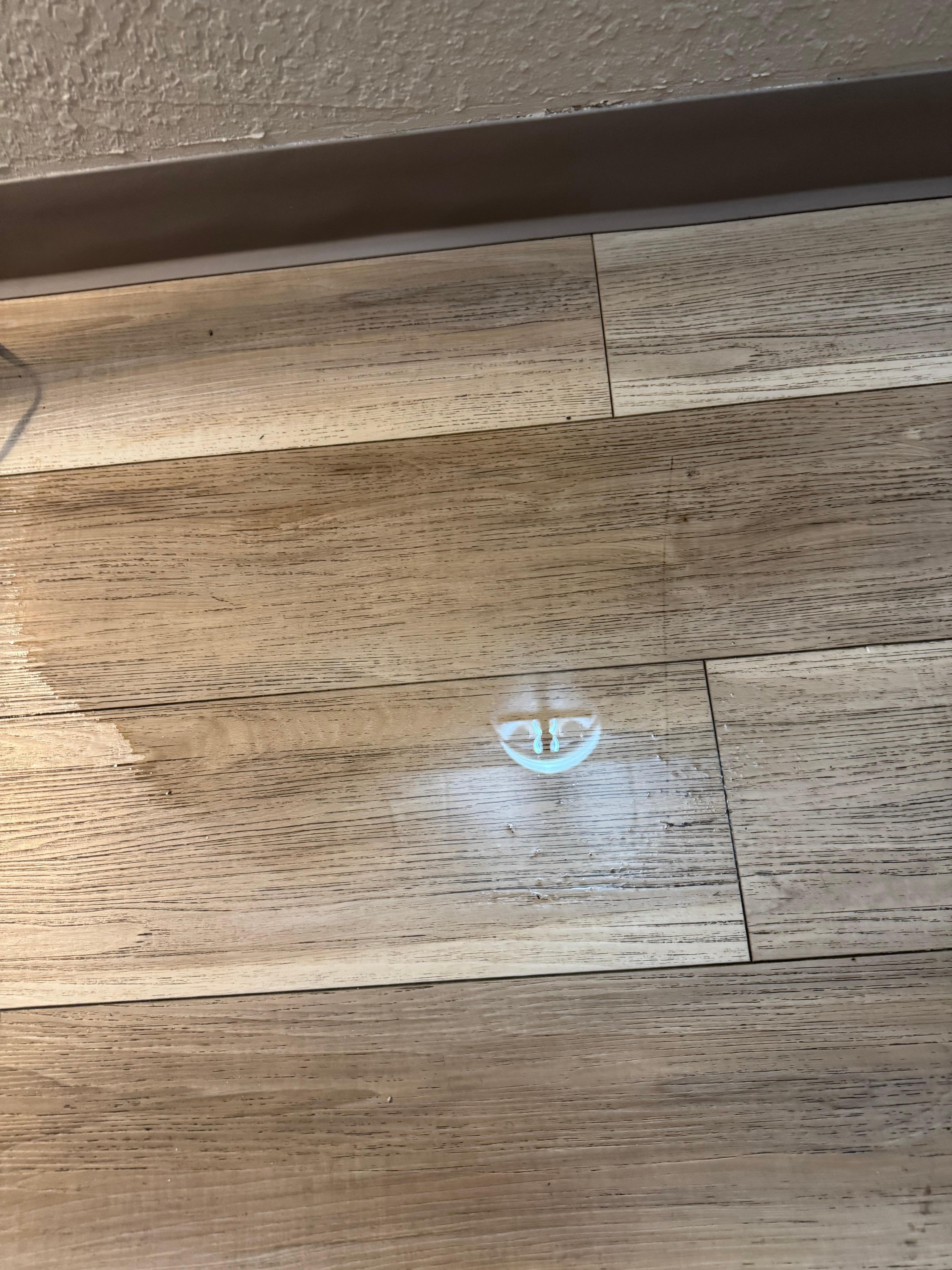 Water puddle on the floor when we checked into our room. 