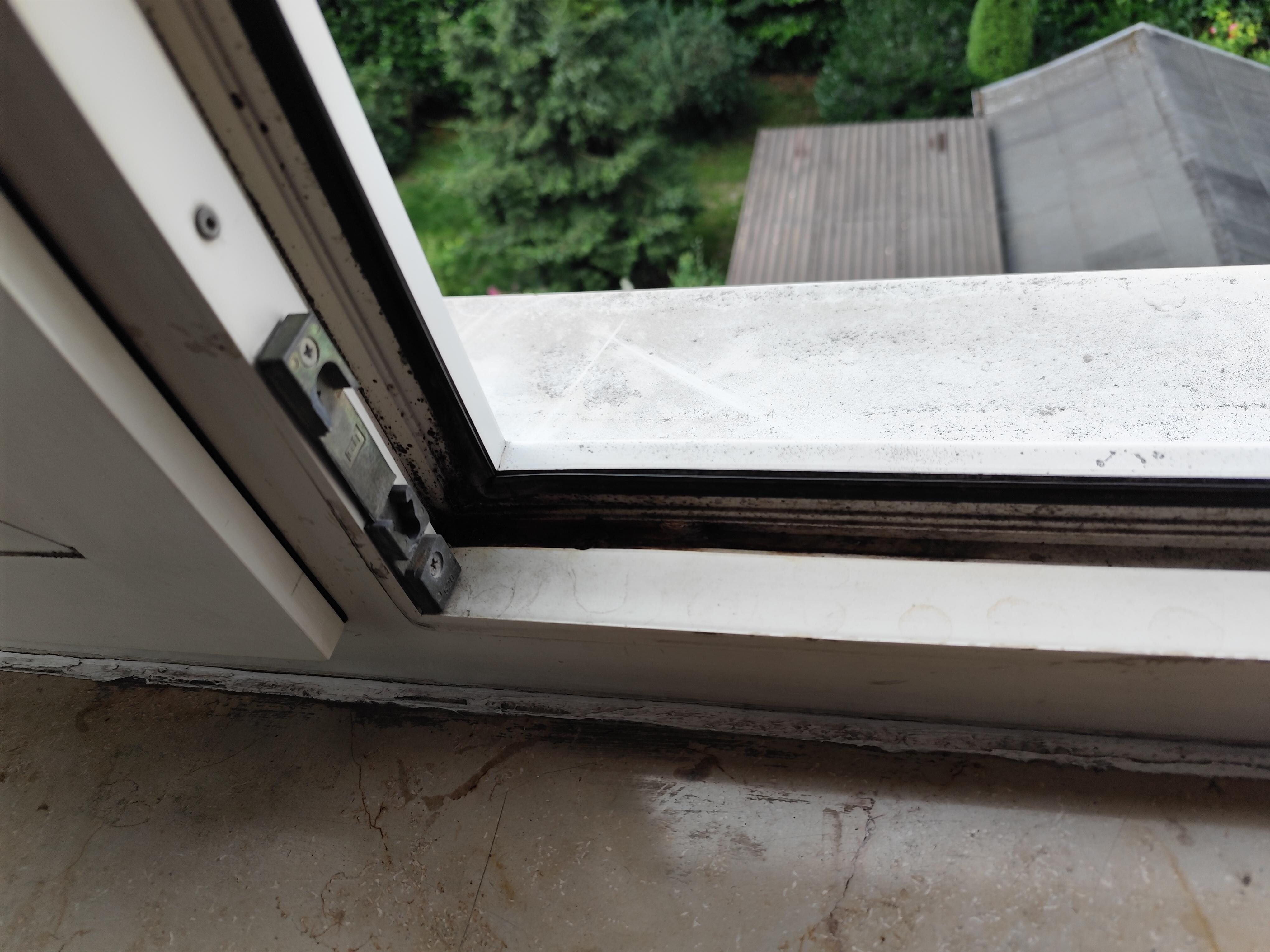 Schwarzer Schimmel am Fenster , evtl unter der Decke, da veekleidet