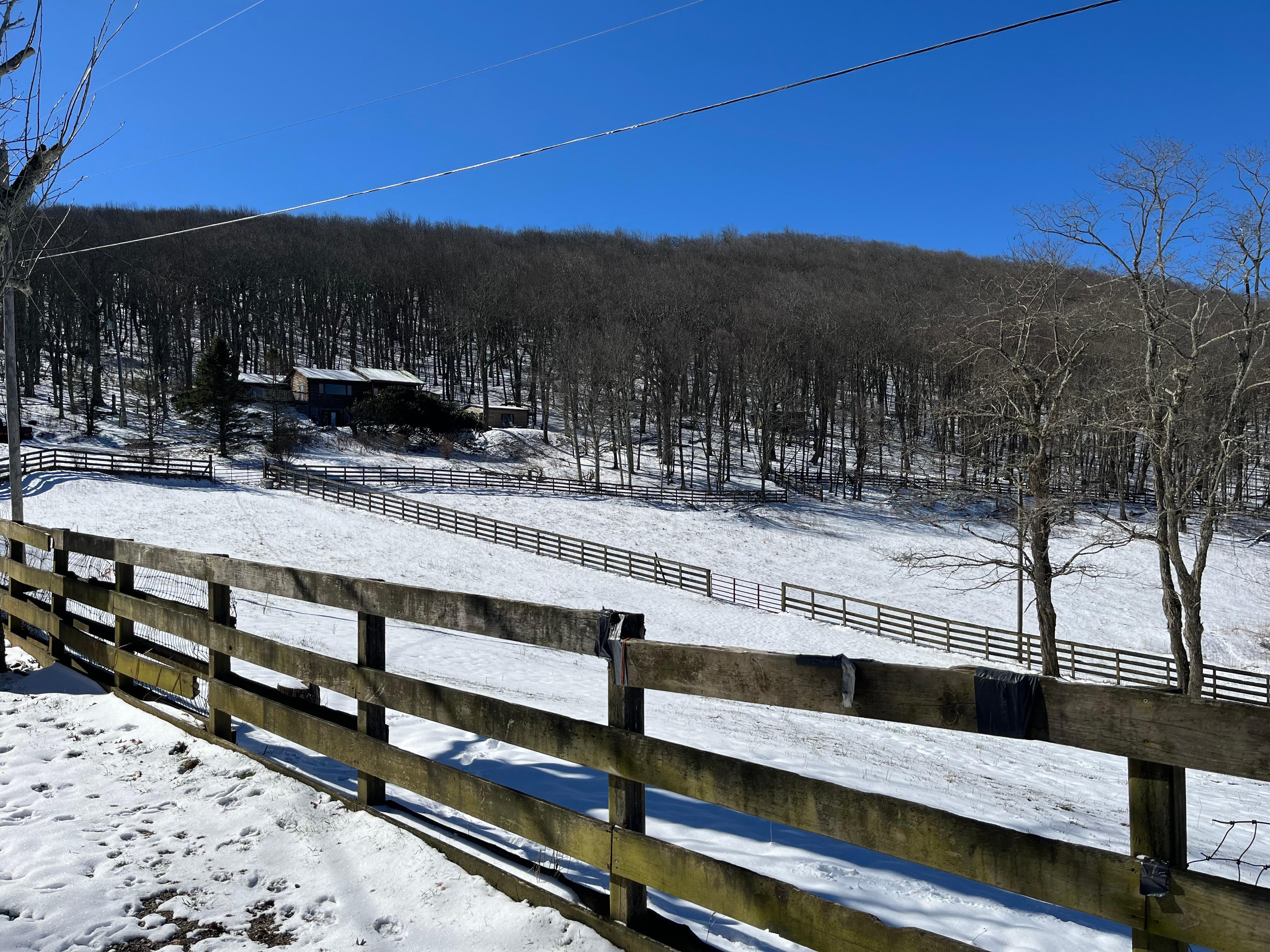View of main house and cabin from the road.