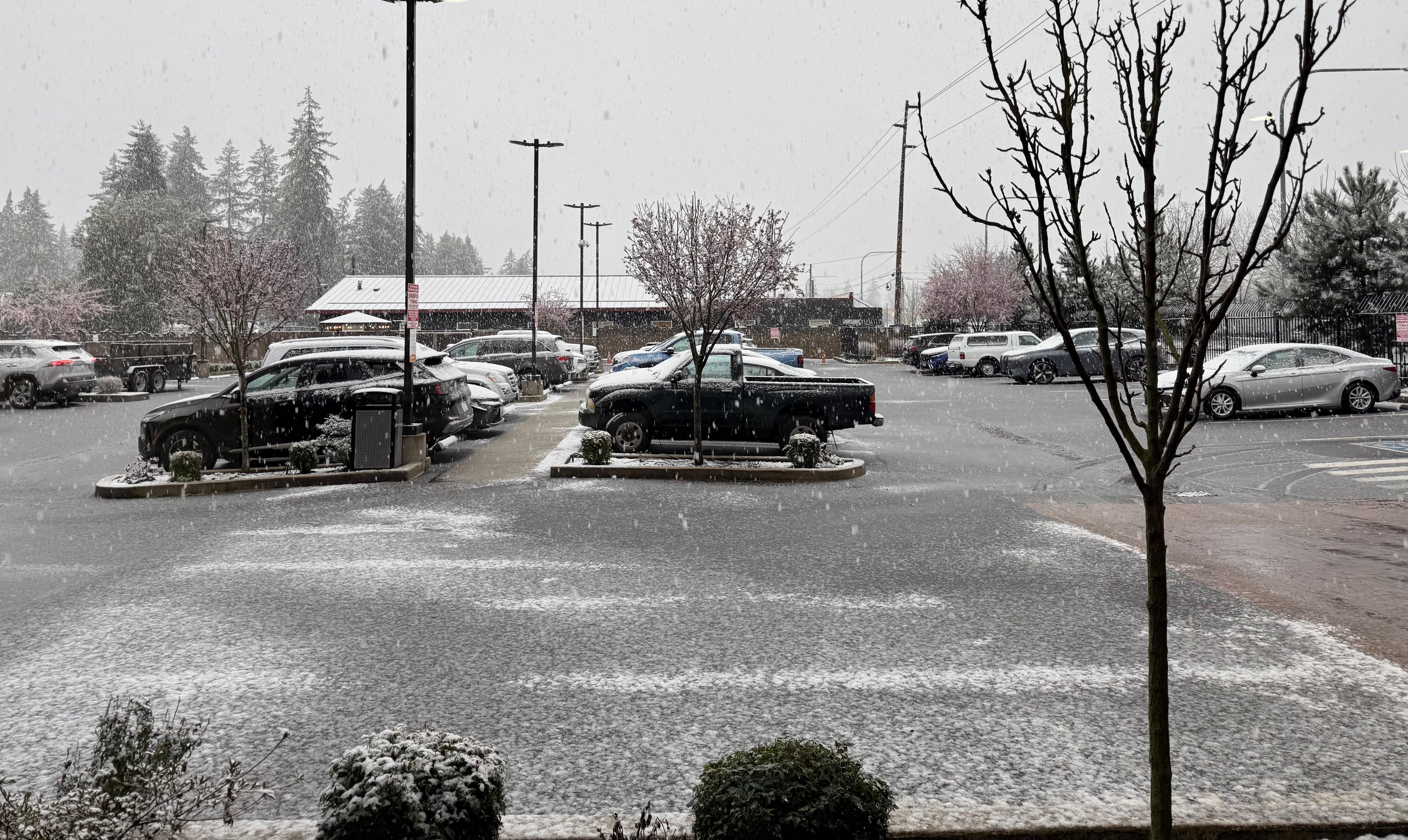 First snow of the year.