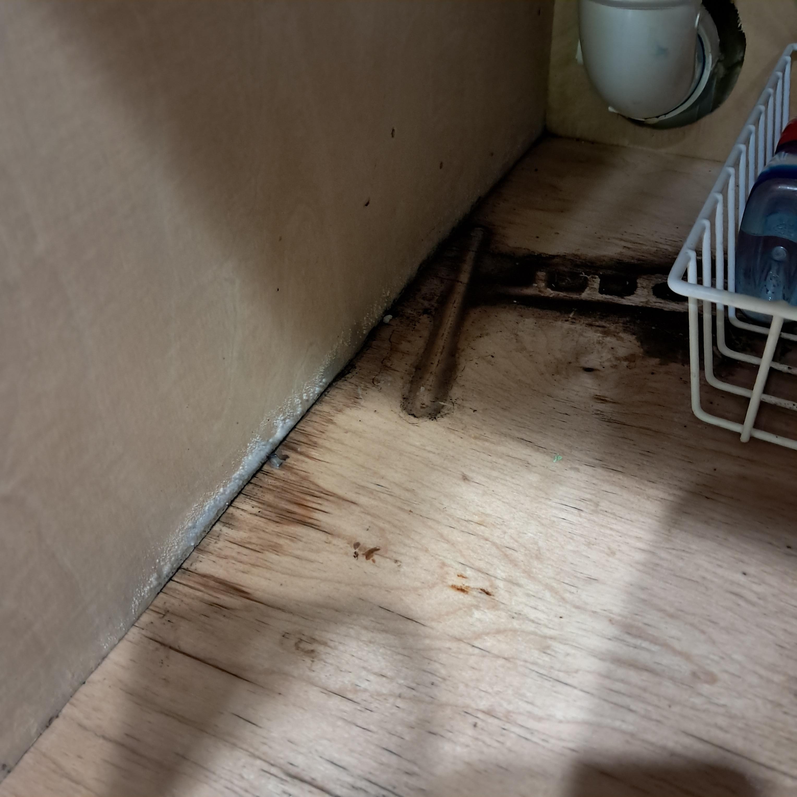 Video will not load of back left bedroom flooded 