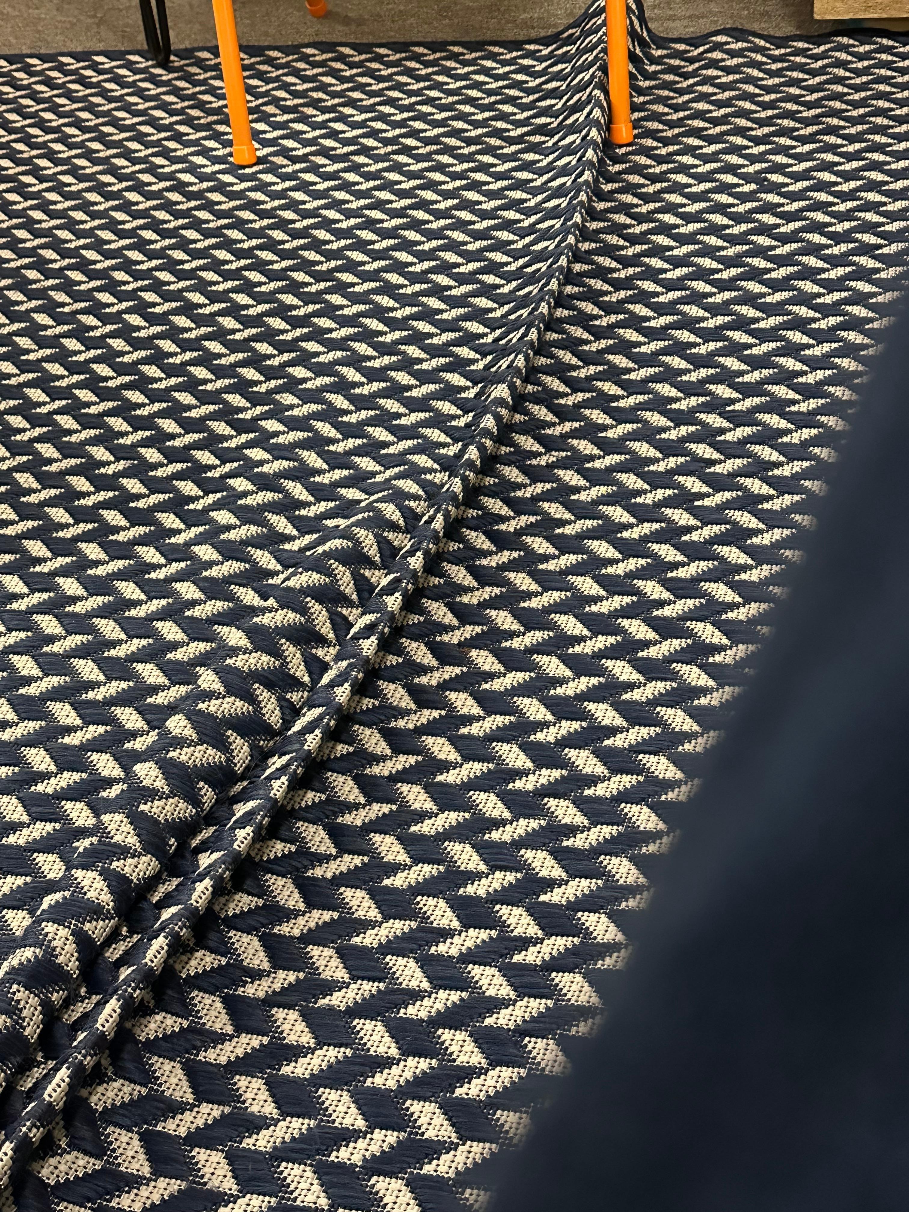 The rug in main area. 