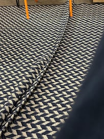 The rug in main area.