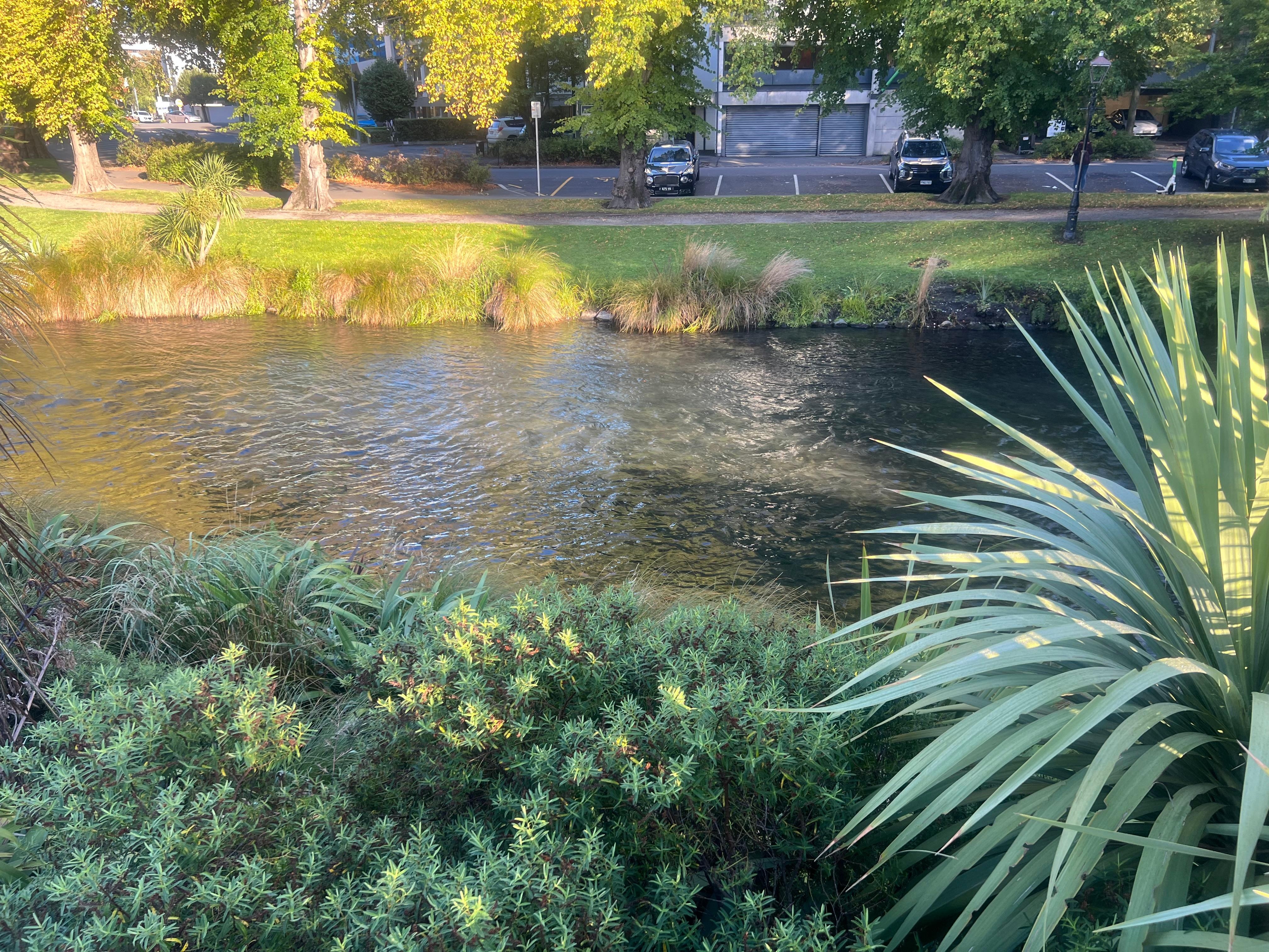 Gorgeous views only short walking distance 