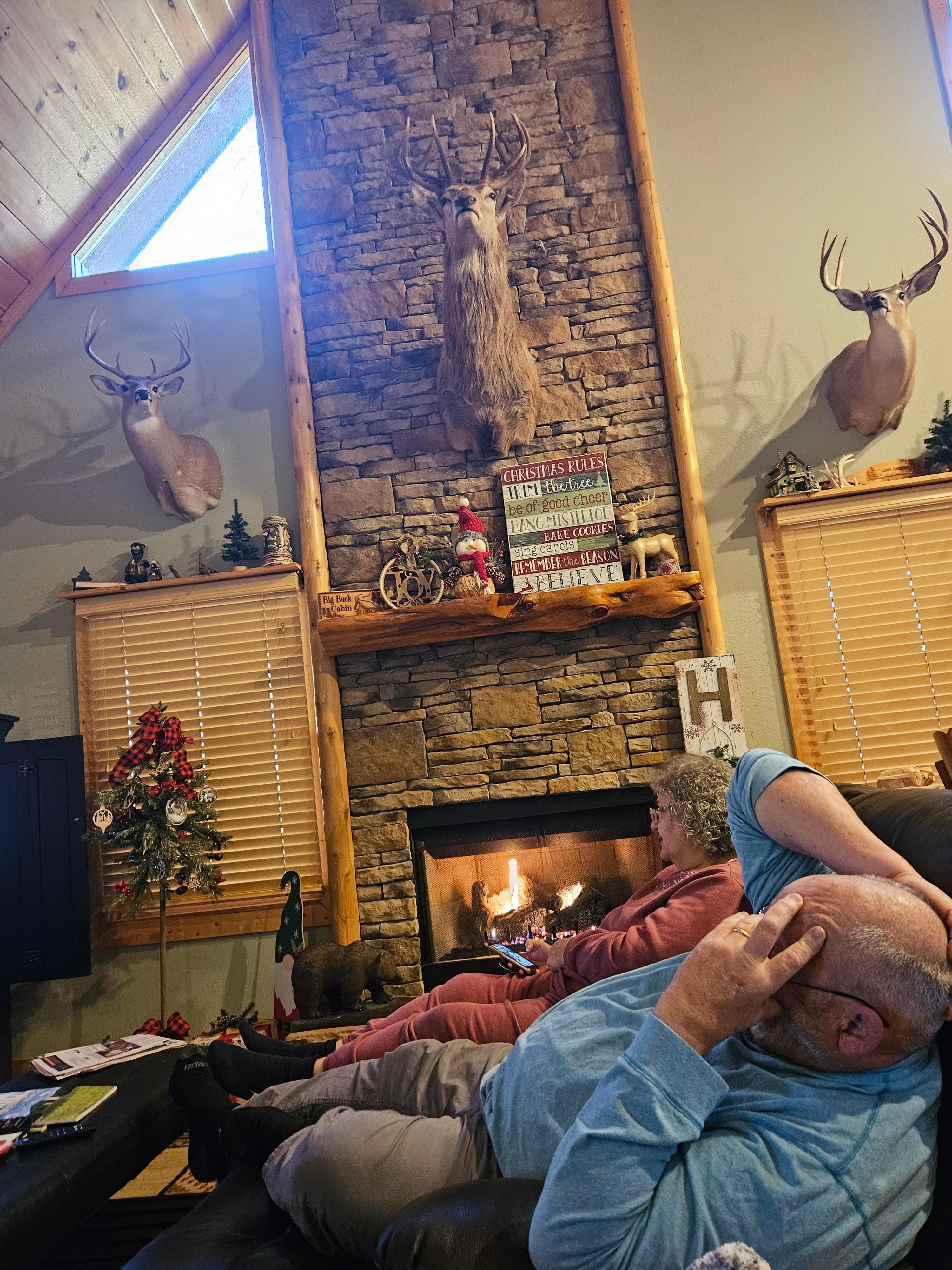 Enjoying the fireplace 