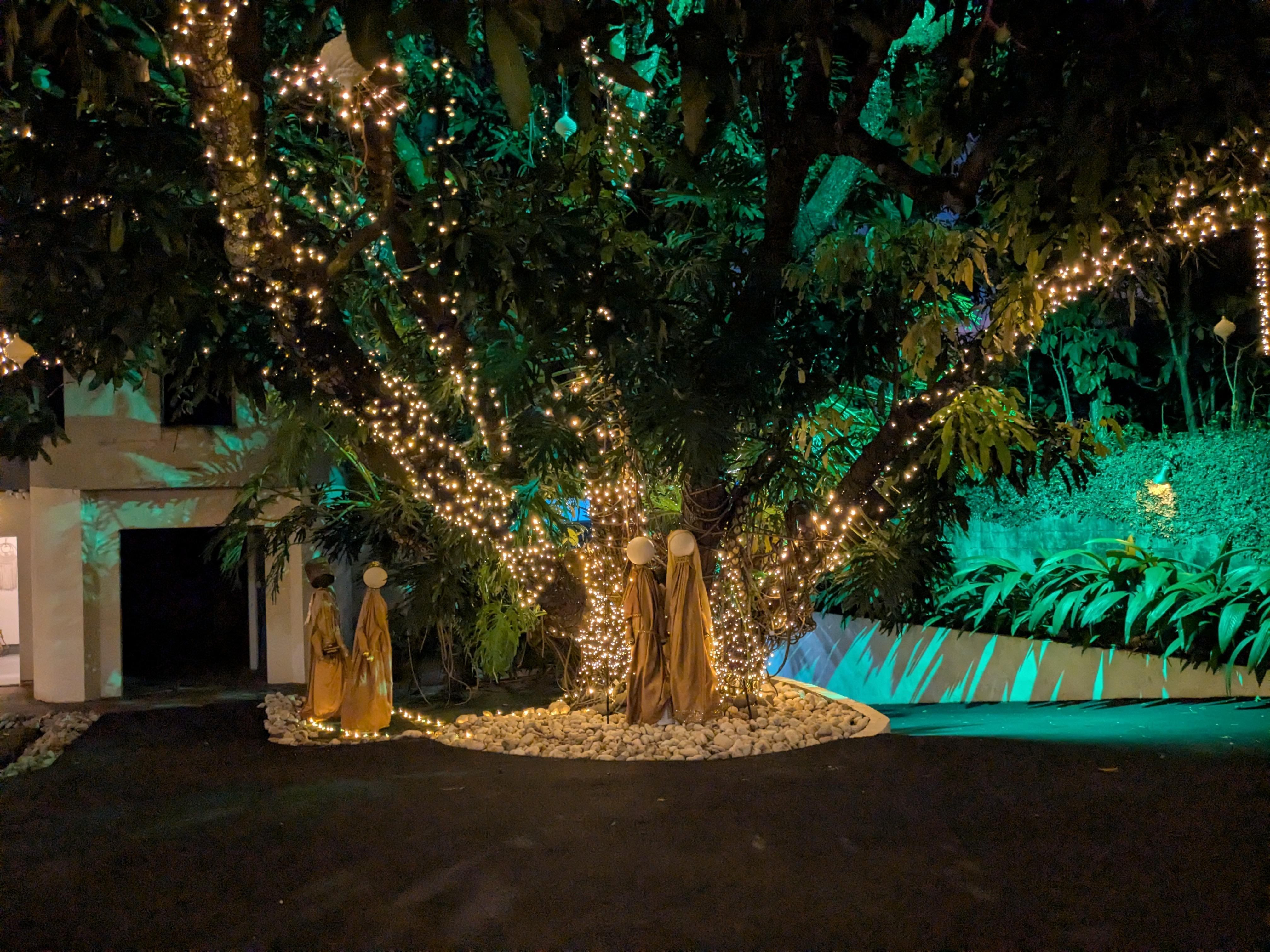 Area around the pool. 