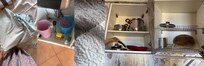 stains, ants, and (missing) supplies