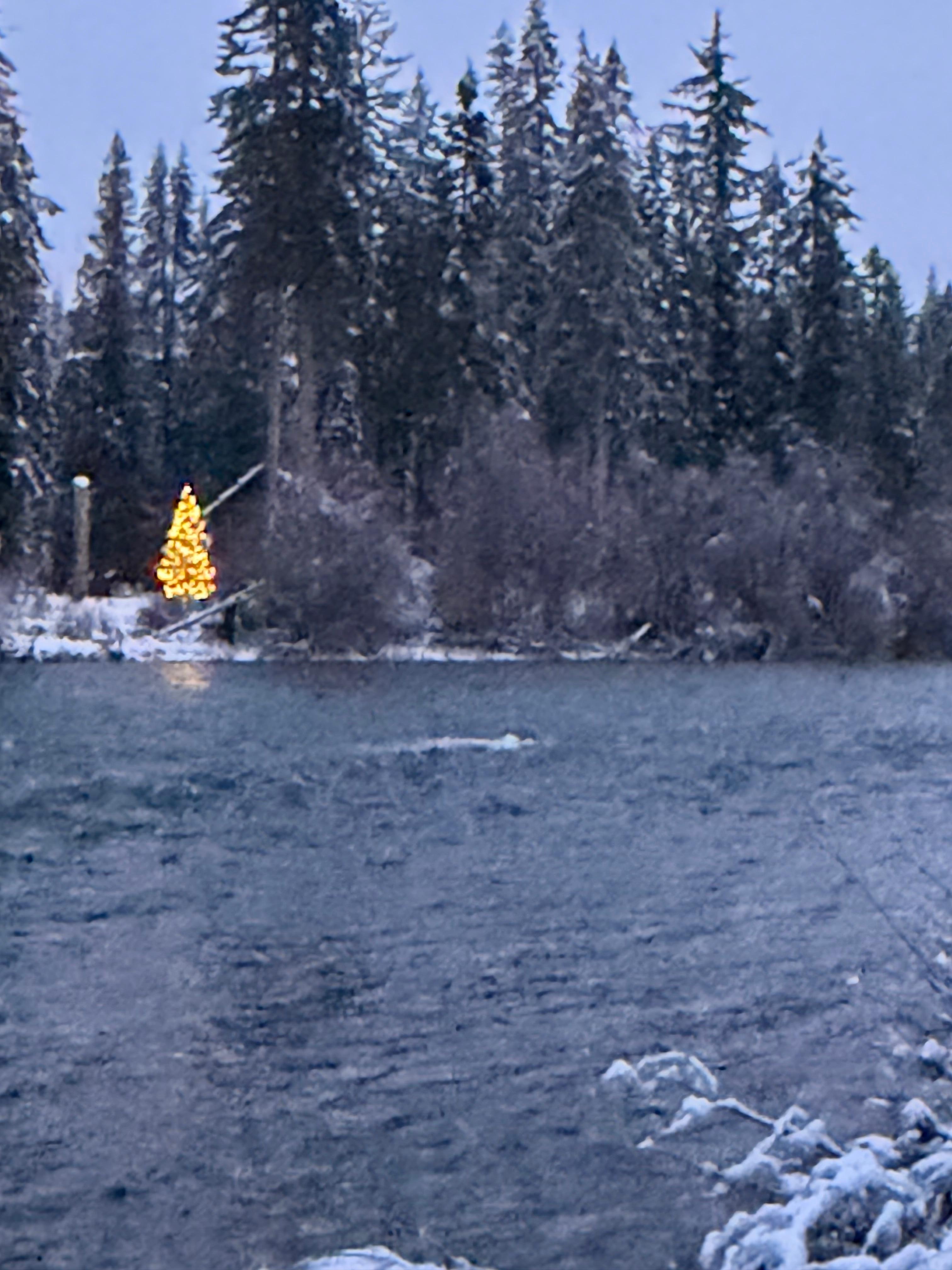 Across river behind cabin