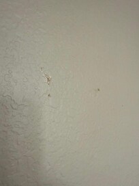 Foreign substance on the wall