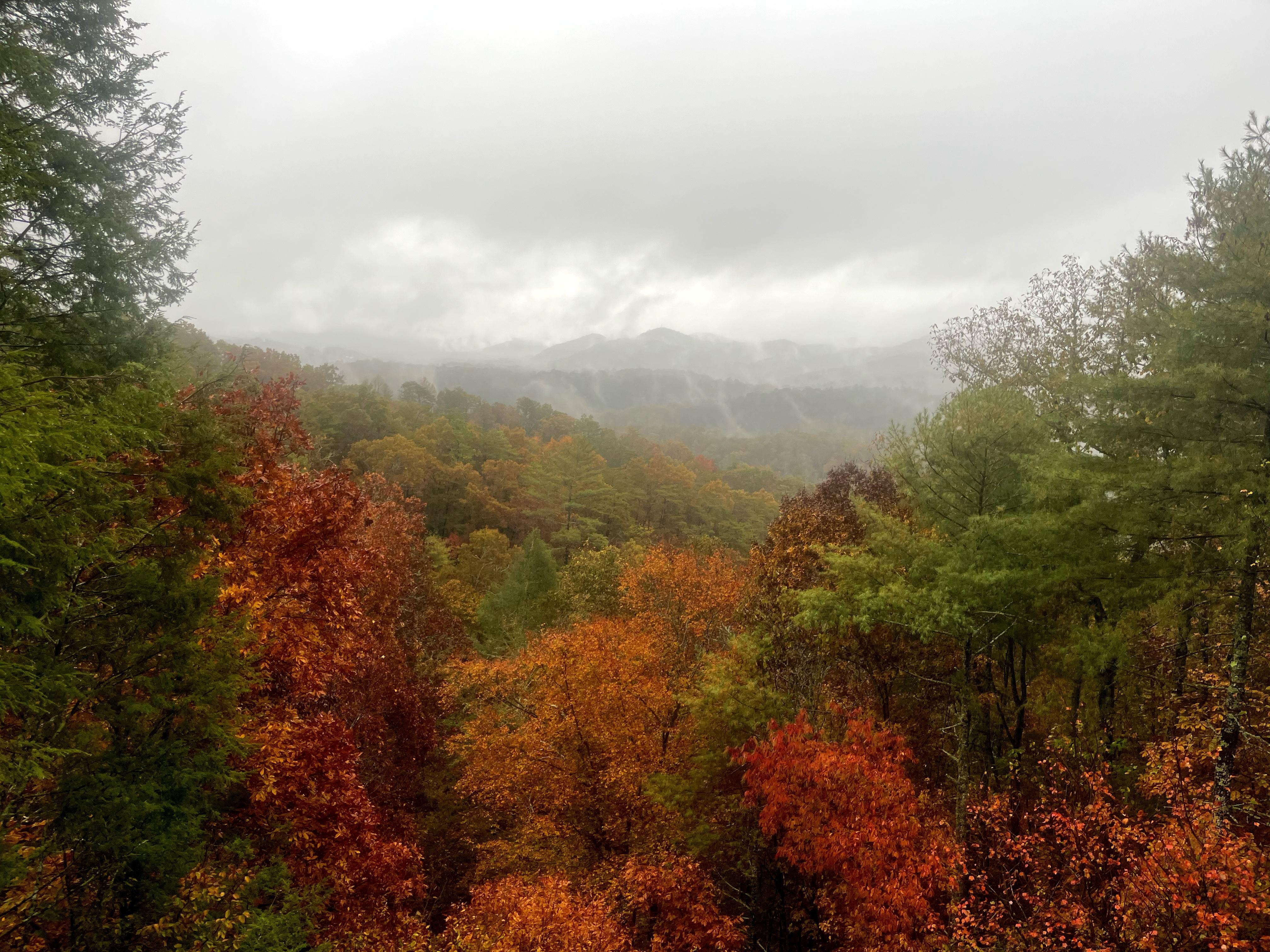 Views from the deck. 