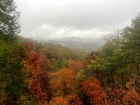 Views from the deck.