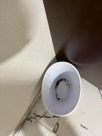 The trashcan had filthy debris in it