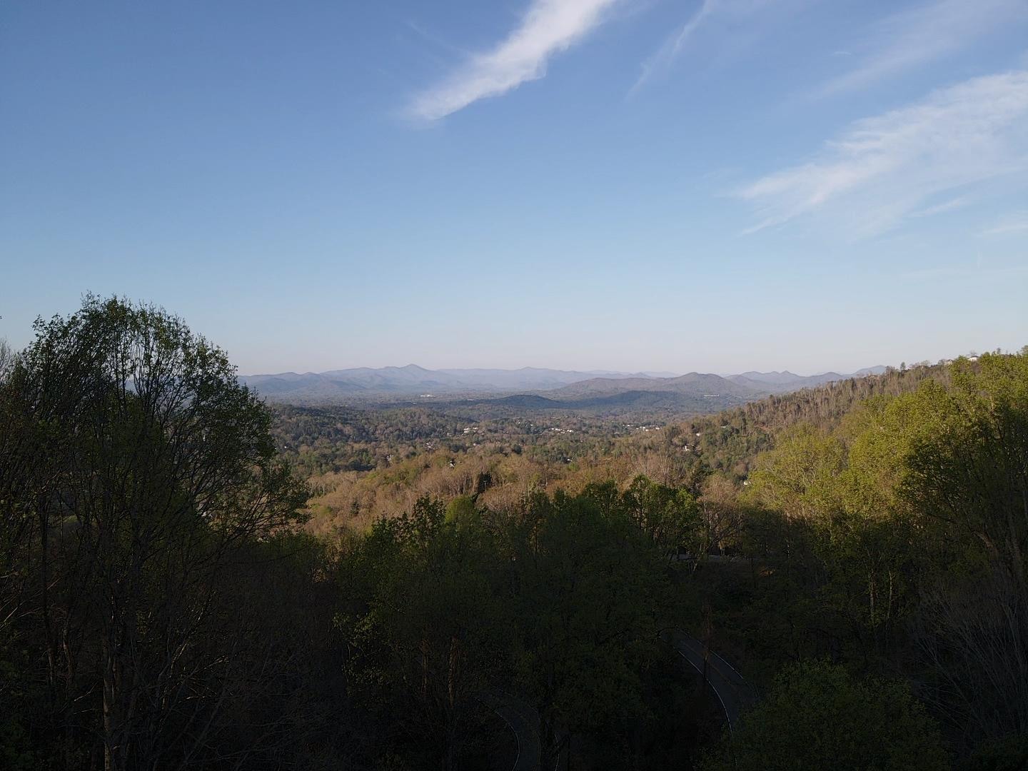 Drone shot above the trees