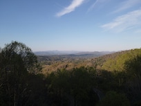 Drone shot above the trees