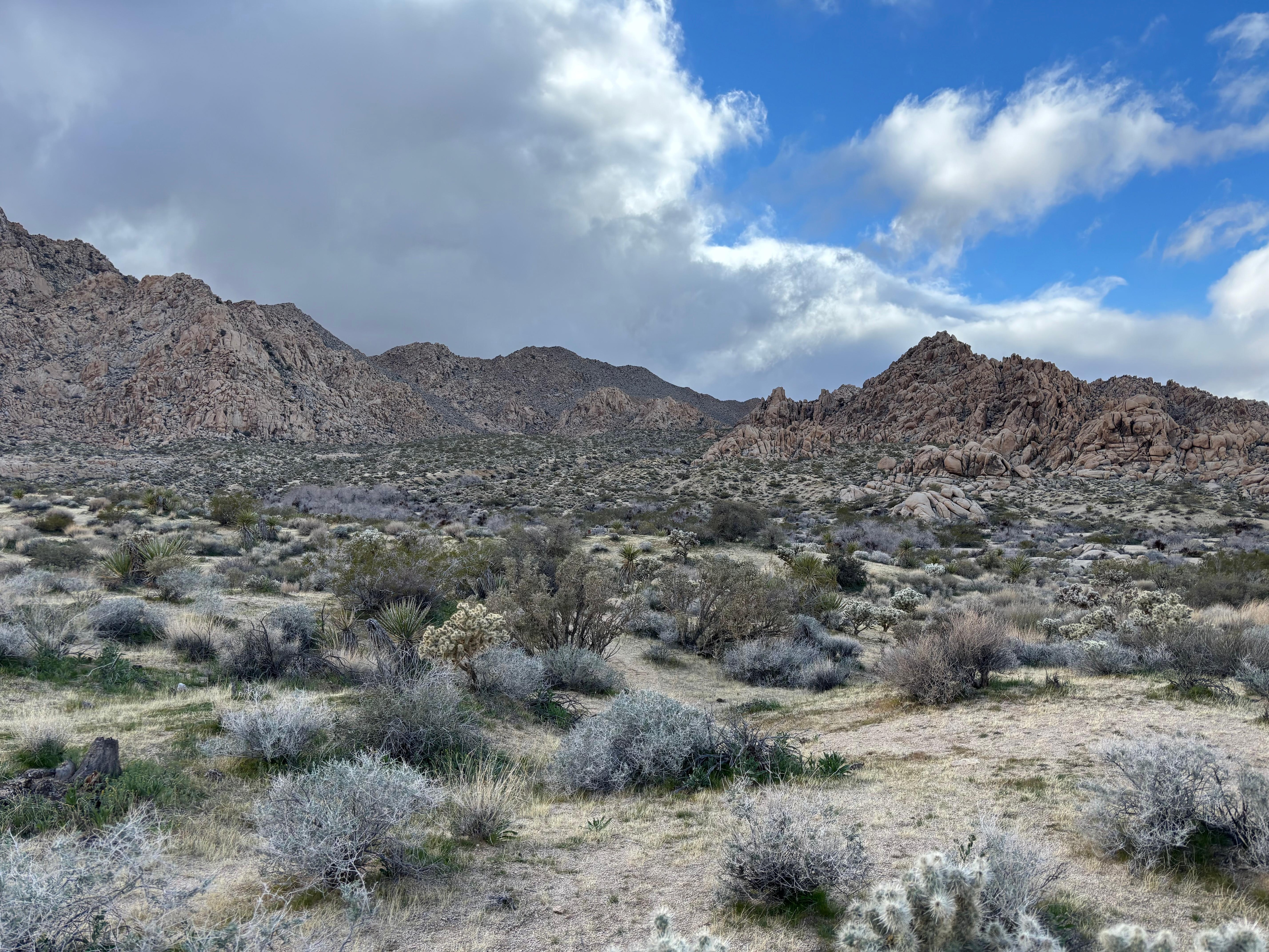 View of park border right outside back of cabin. 
