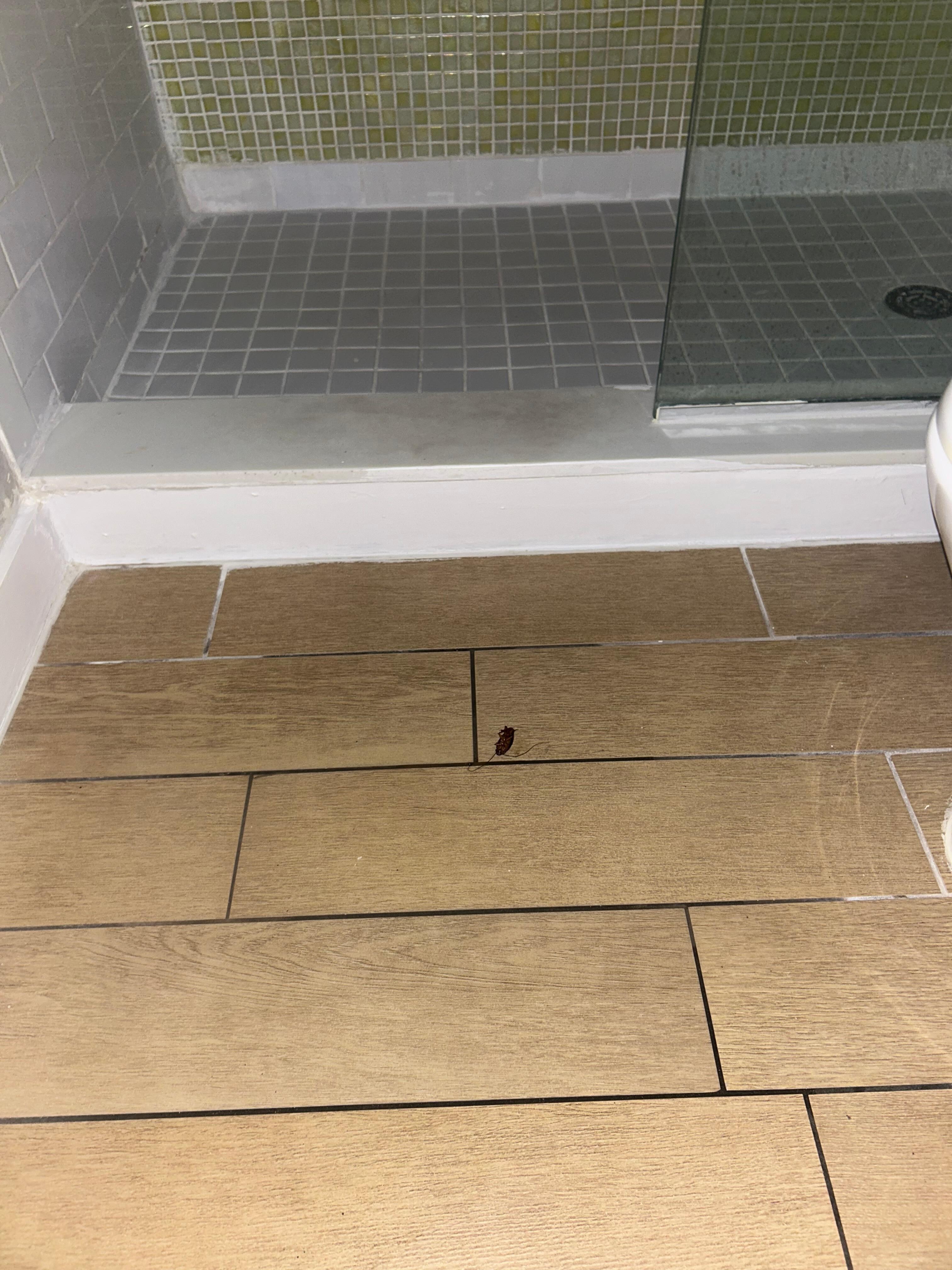 The showers don’t make since cause they are left open & the roach was kinda like a lot.