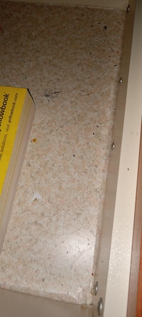 Blood on shower curtain