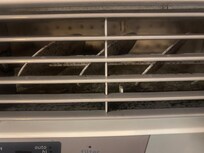 We wiped the vent on this side prior to taking the picture, close up of the mold on inside.