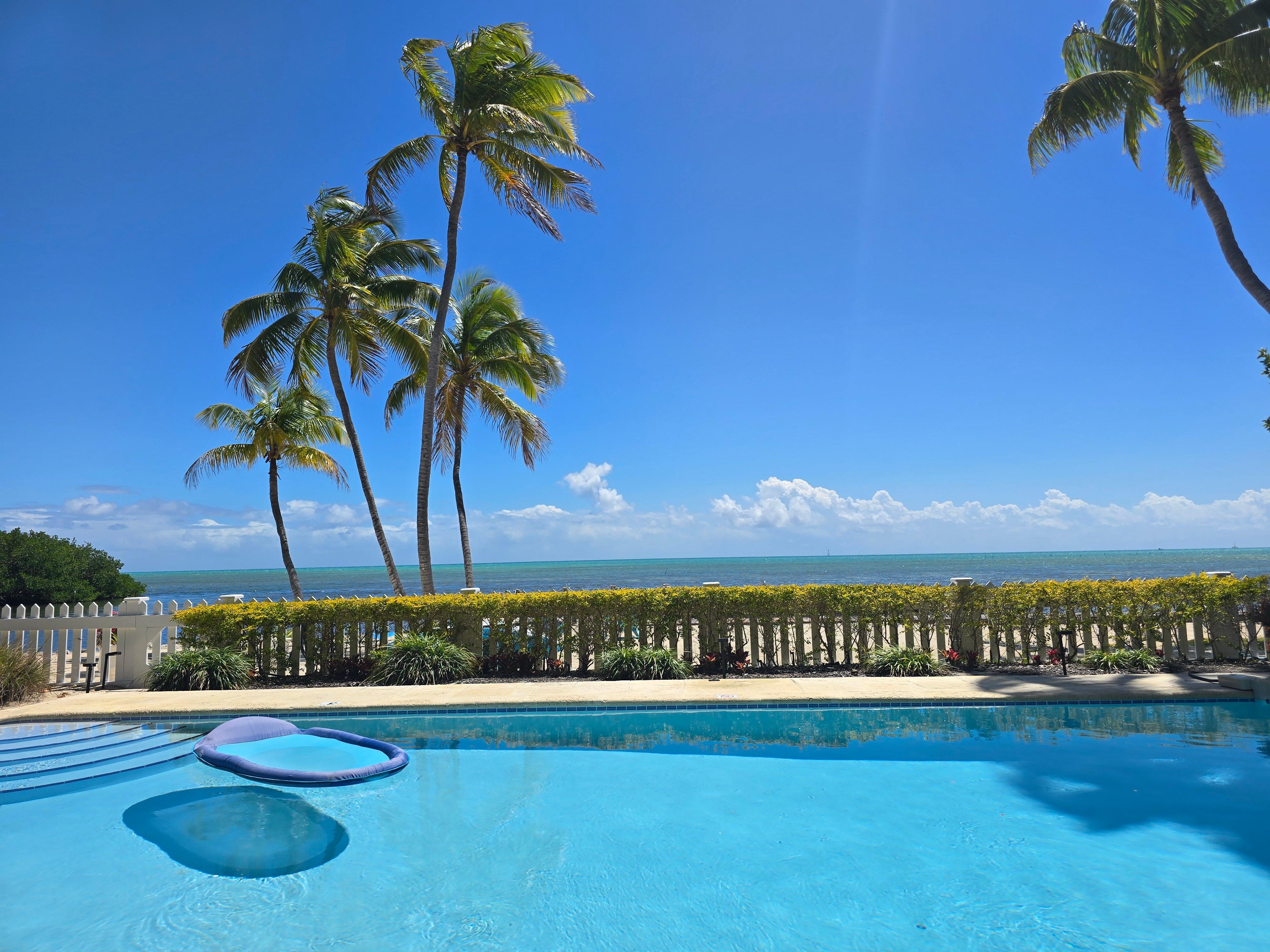 The view all day long!