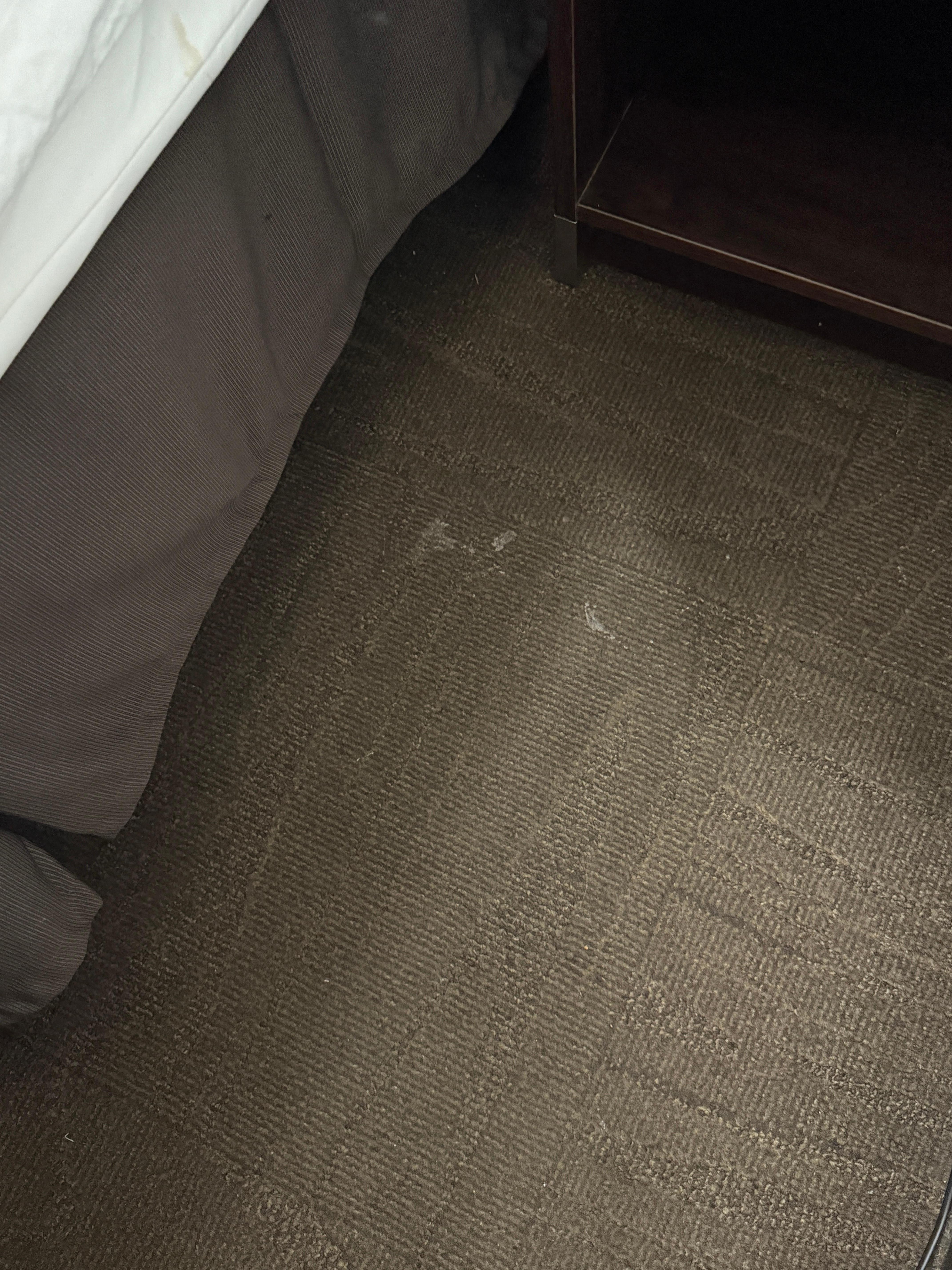 White crusty substance near bed on carpet. 