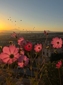 Morning balloons from the Terrace, Petra Inn