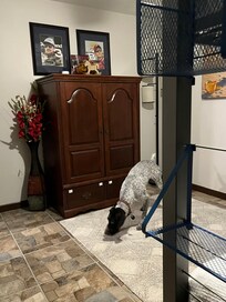 Checking out a bunk room