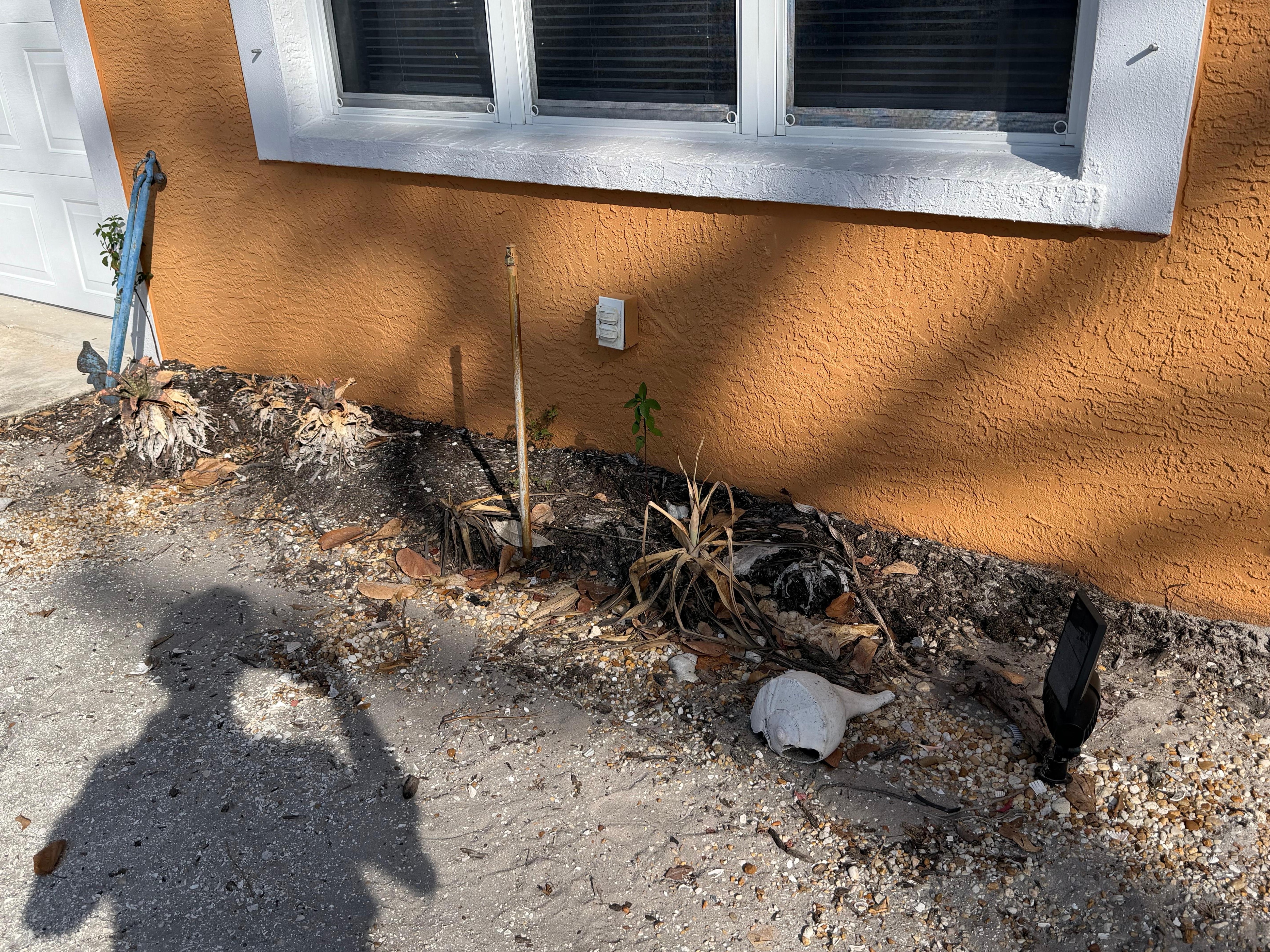 Completely dead landscaping.