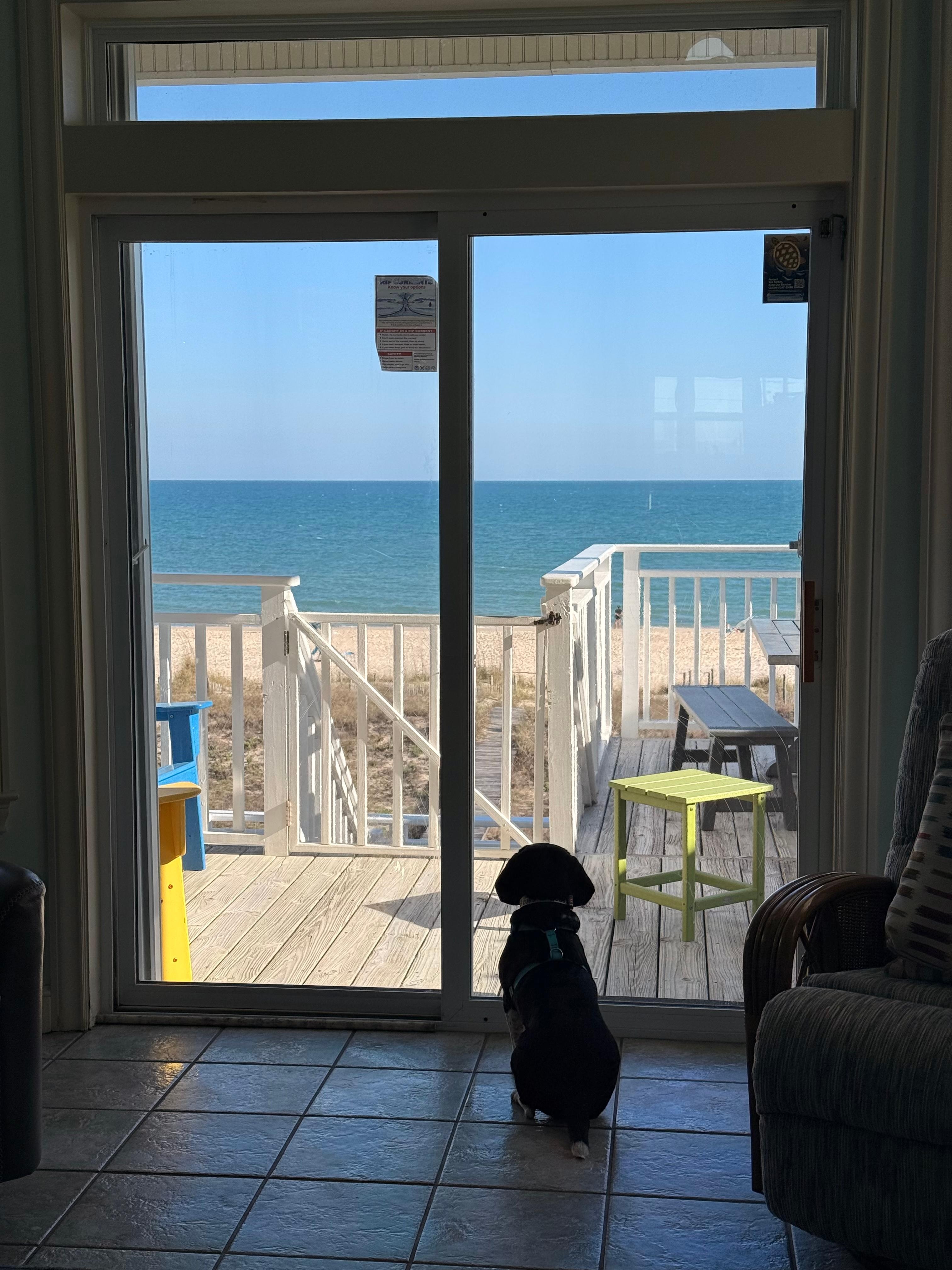 Bennett loved the view!