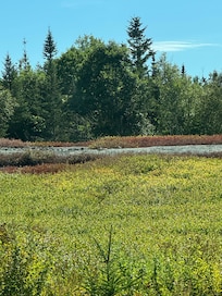 A view of the meadow from a kitchen window! It was beautiful.