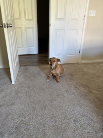 This was the only pic of inside the house…right inside the master bedroom