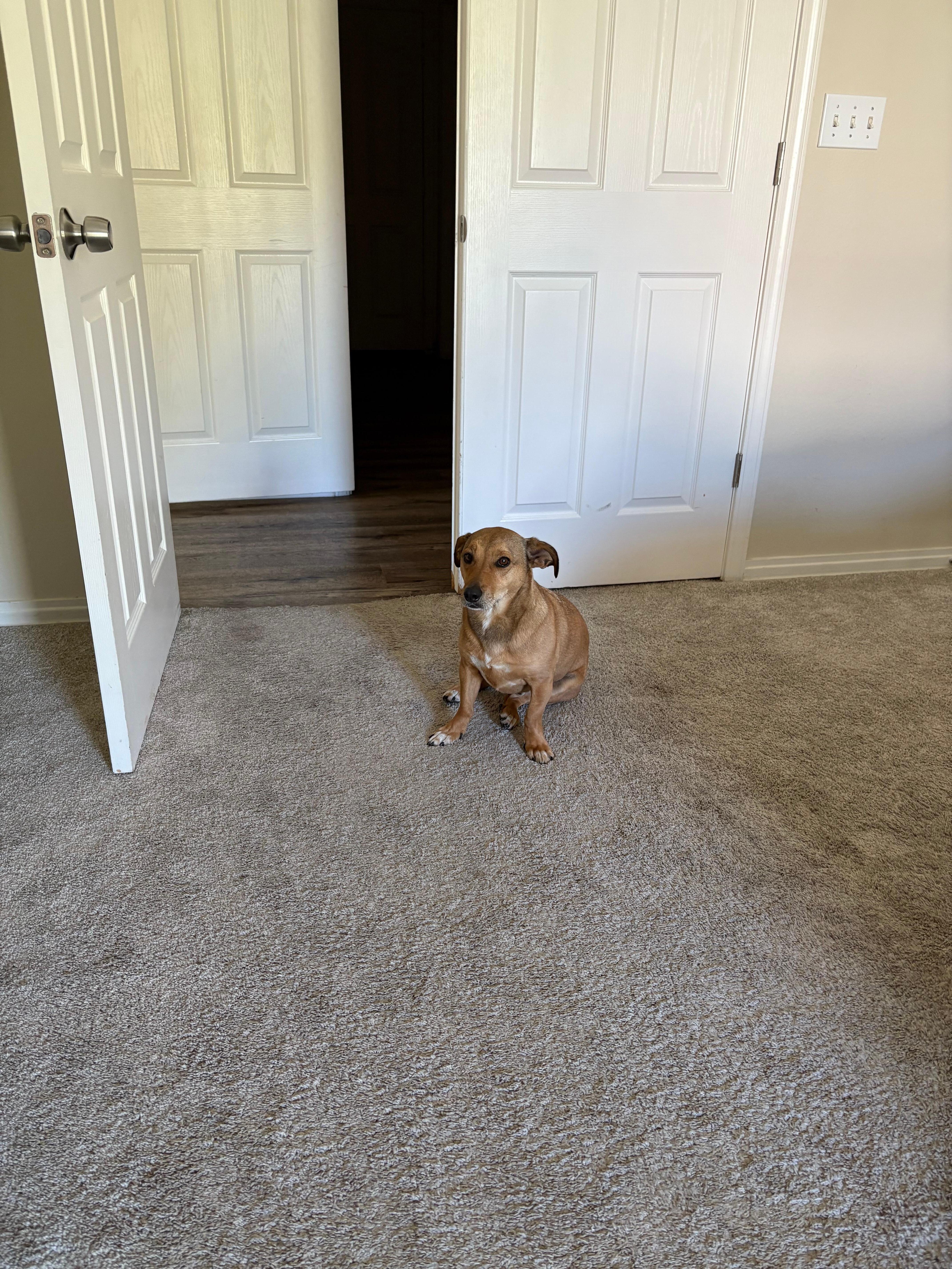 This was the only pic of inside the house…right inside the master bedroom