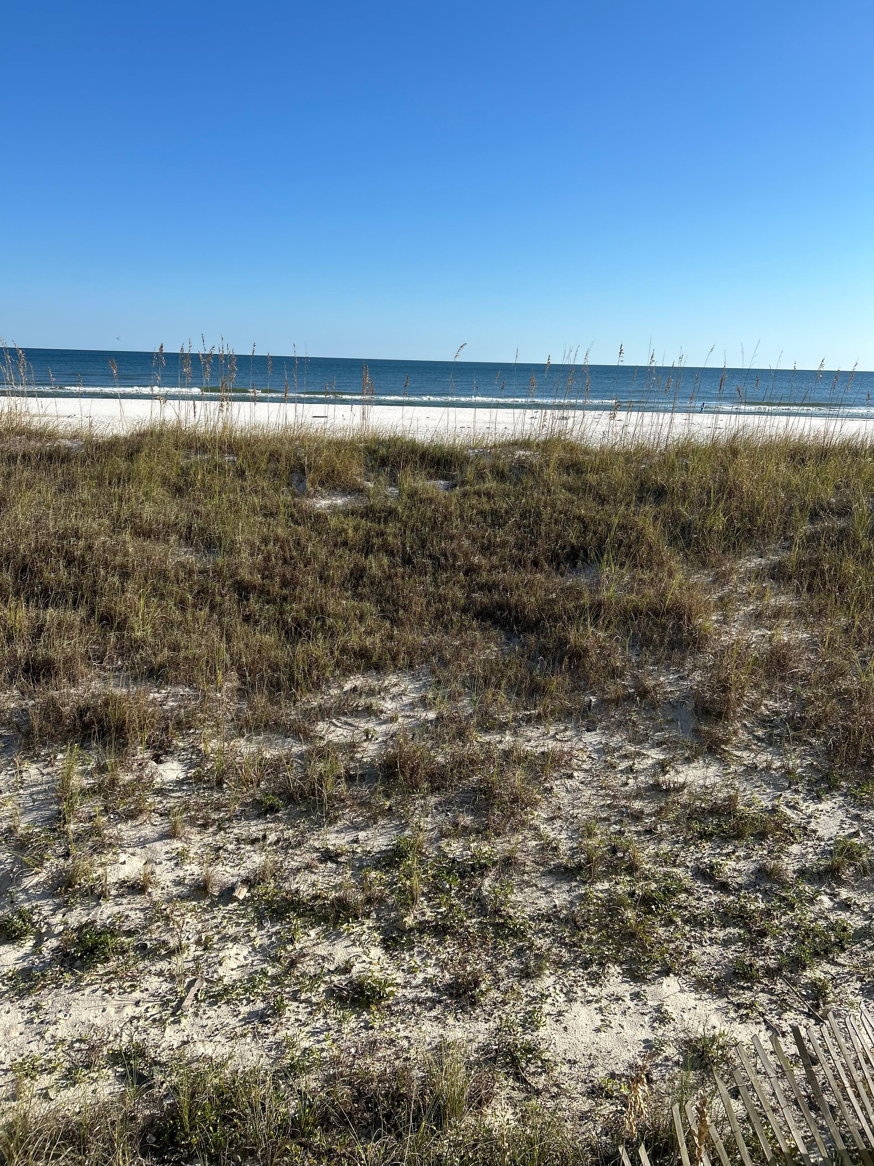 From the first floor balcony. 