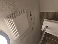 Moldy ceiling
