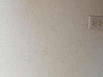 Pee spots