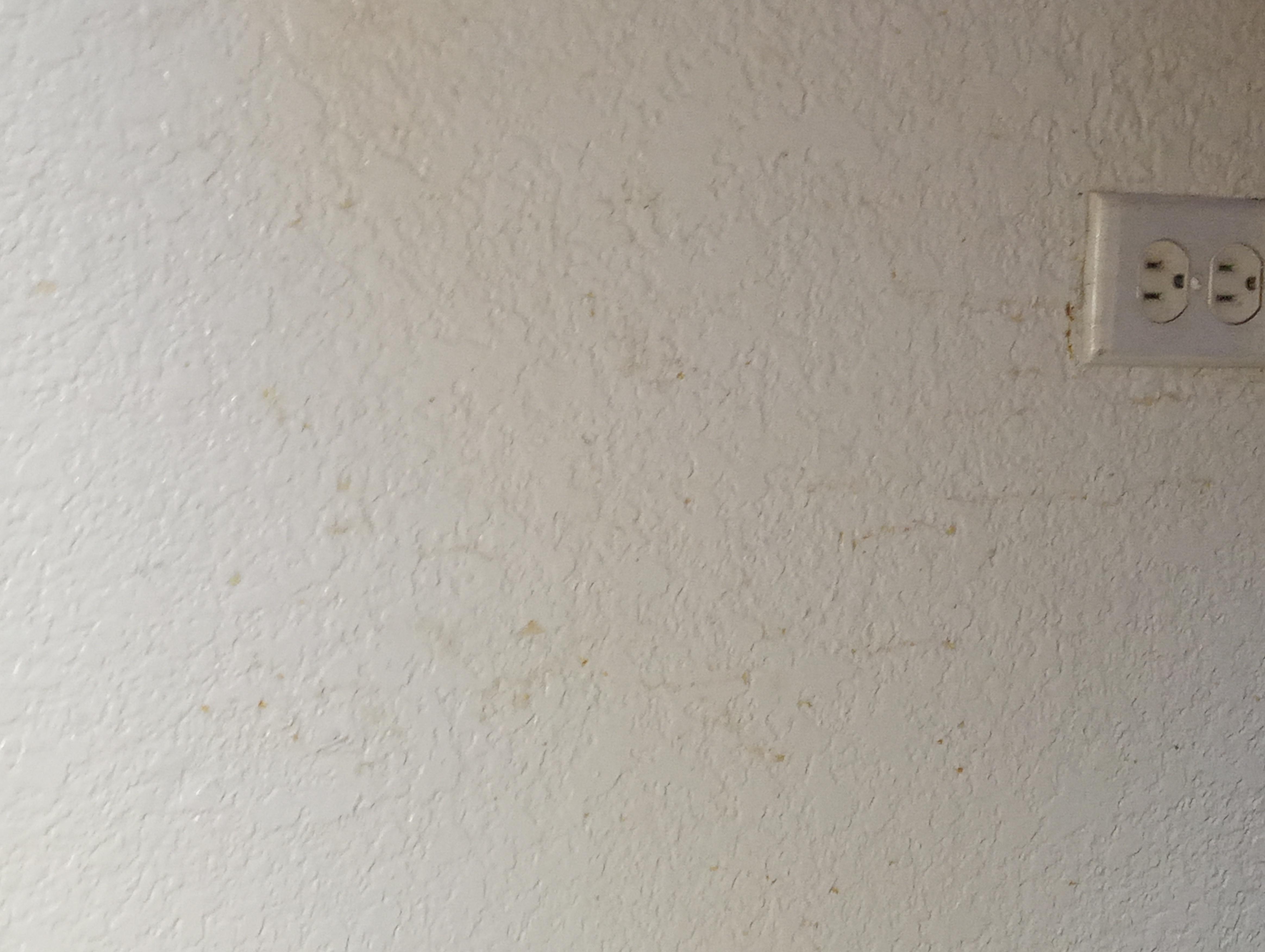 Pee spots 