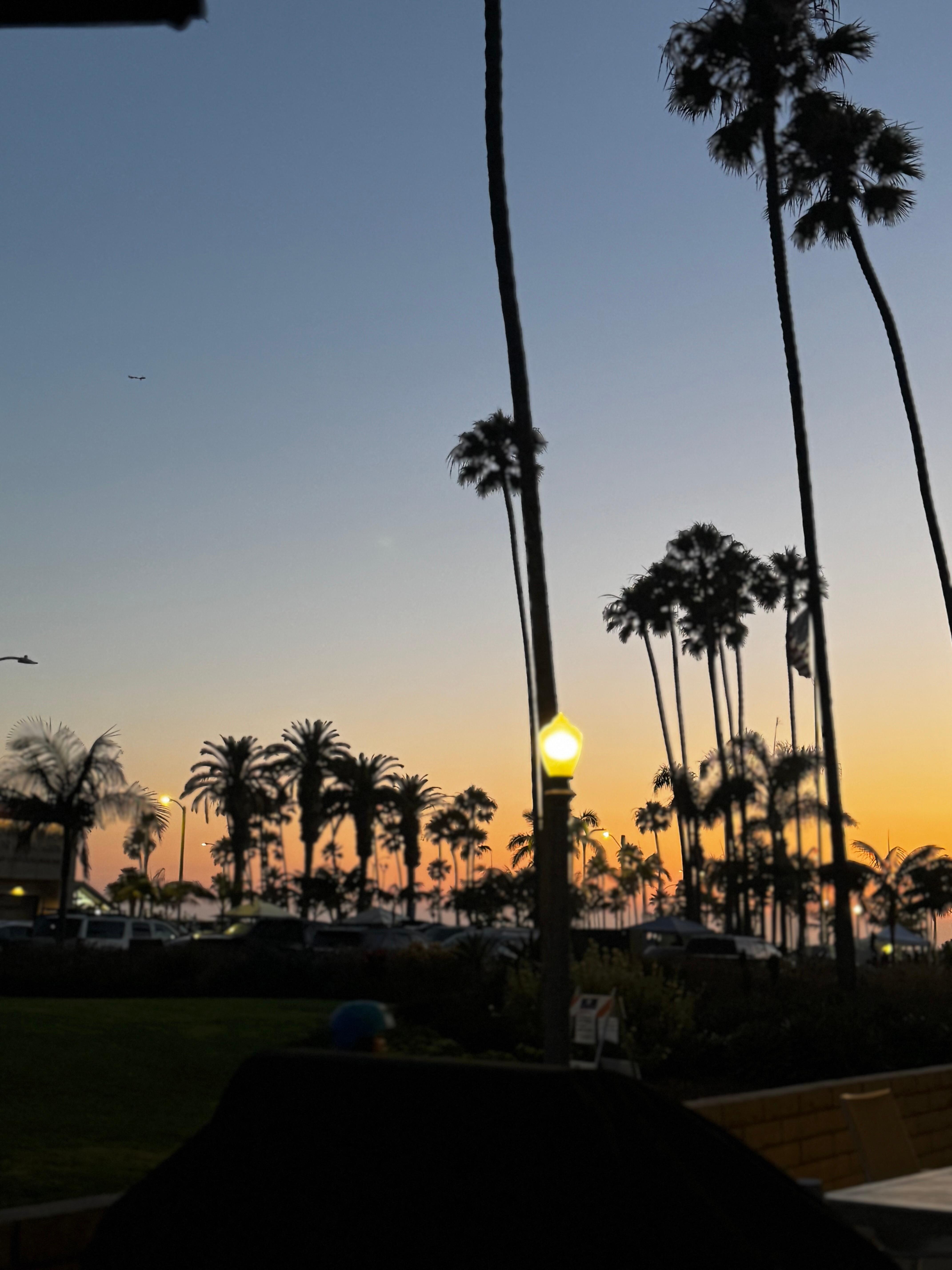 View from
 Patio 
