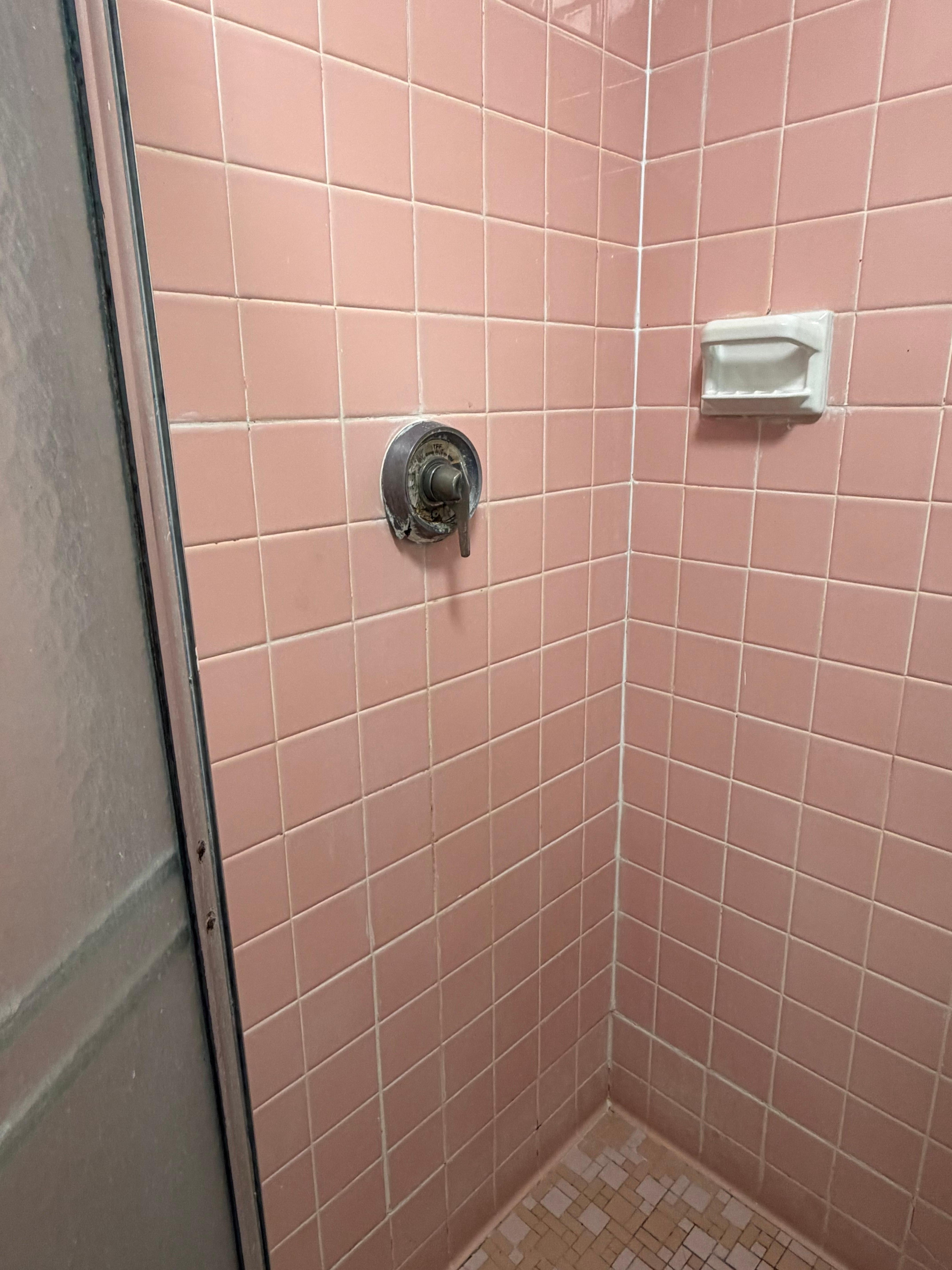 Shower dirty 
