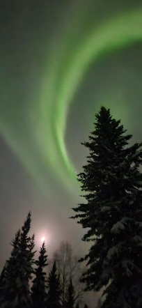 The lights right above the cabin picture taken from the driveway