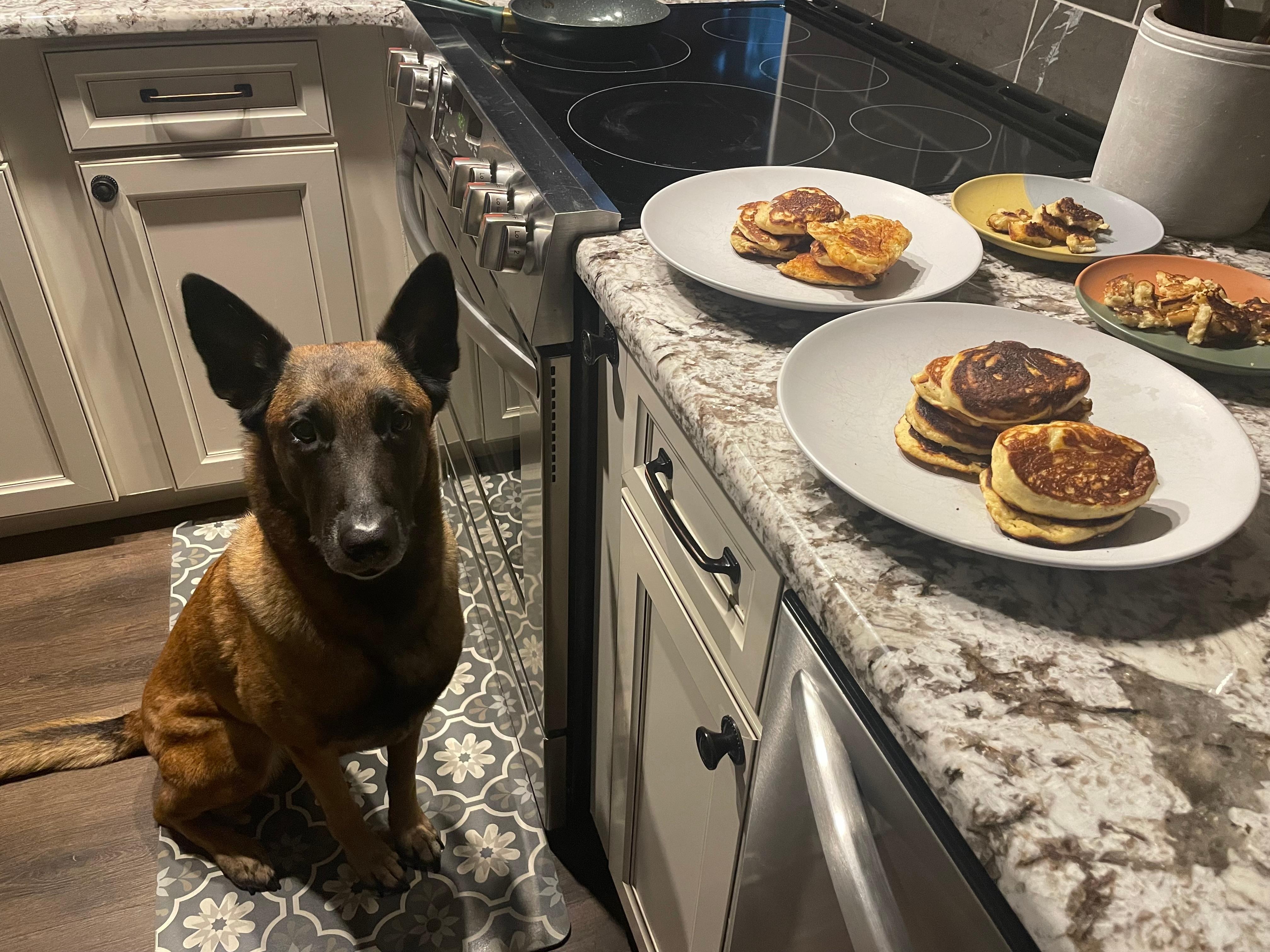 Lovely kitchen stocked with everything needed for cooking meals!
