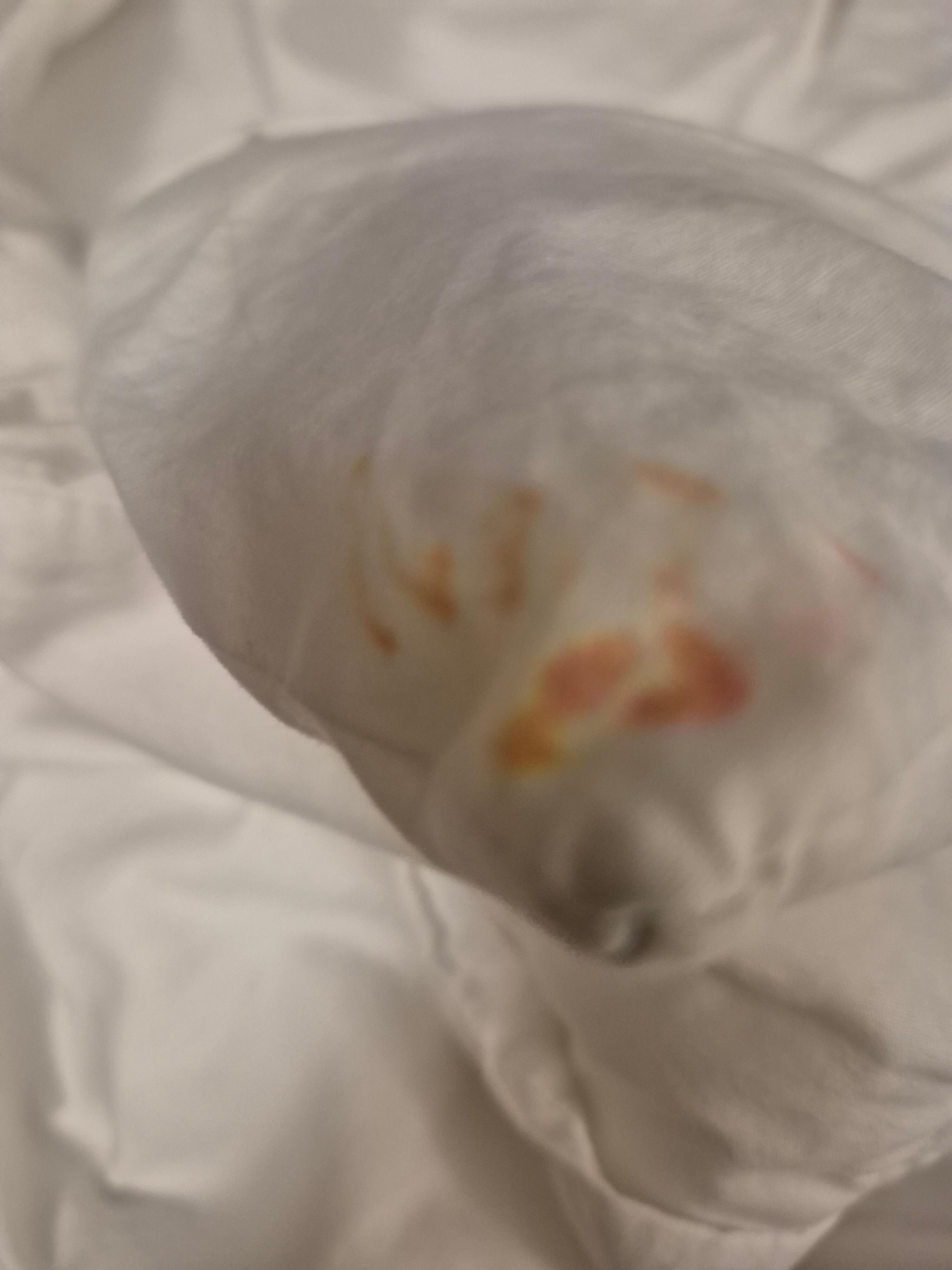 Comforter