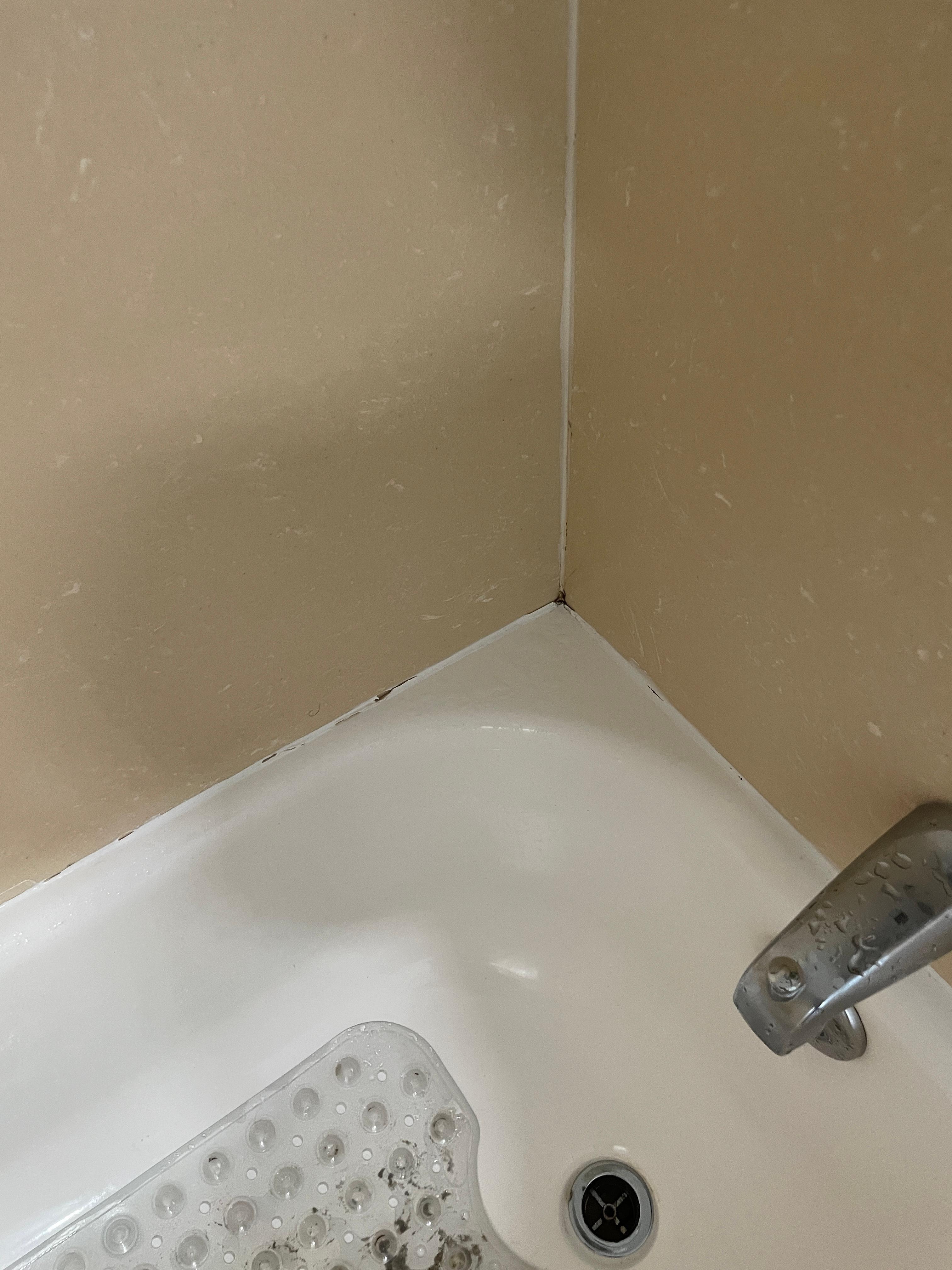 Mold in the cracks of the shower tub