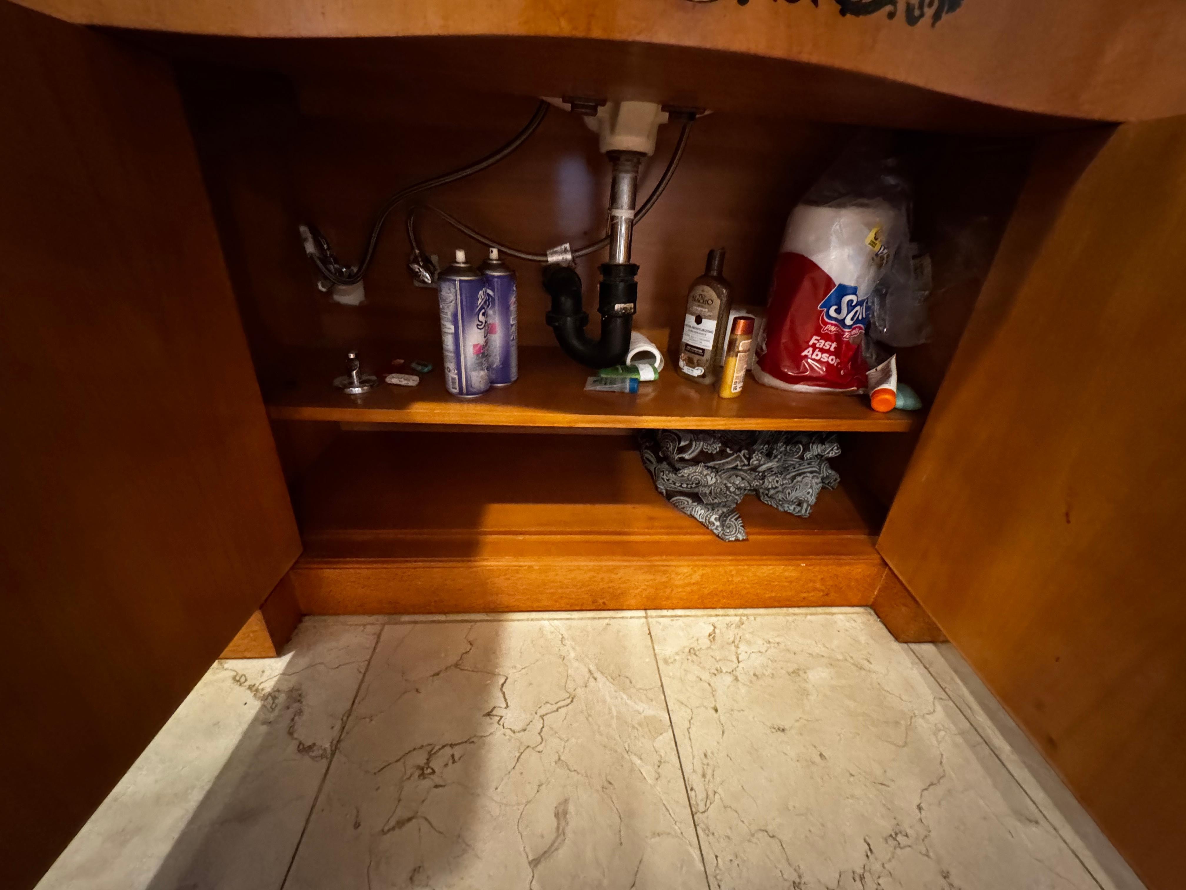 Under the master bathroom sink