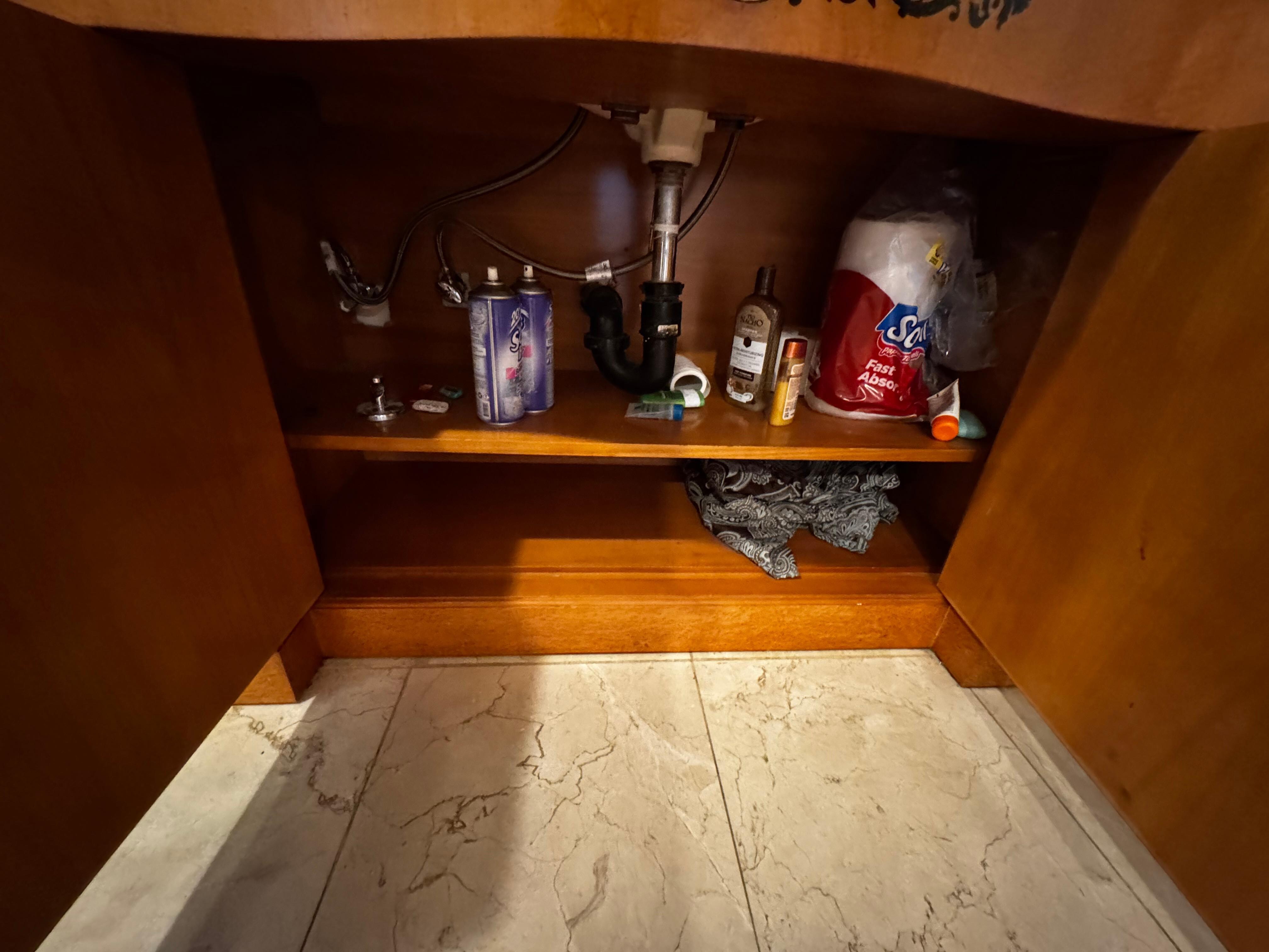 Under the master bathroom sink