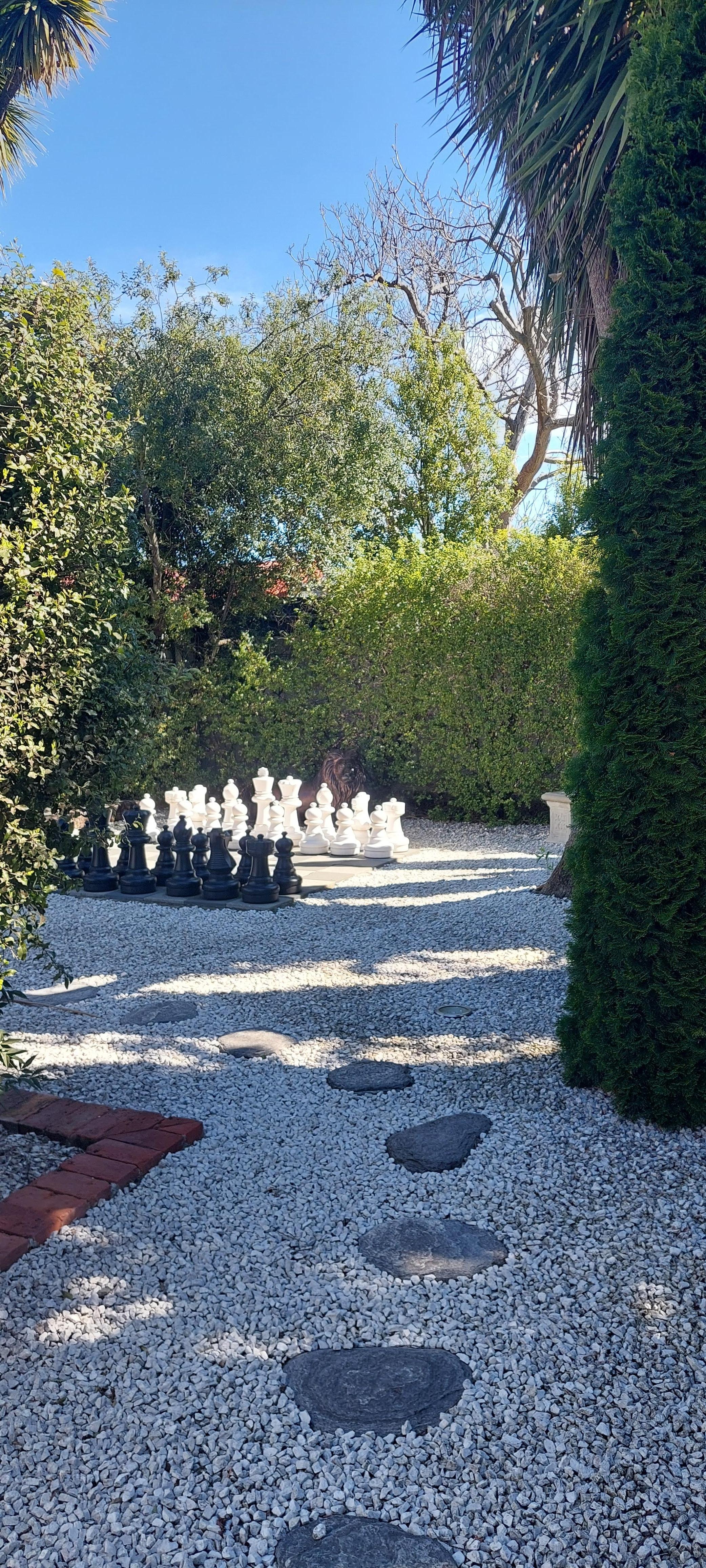 Giant chess set in backyard