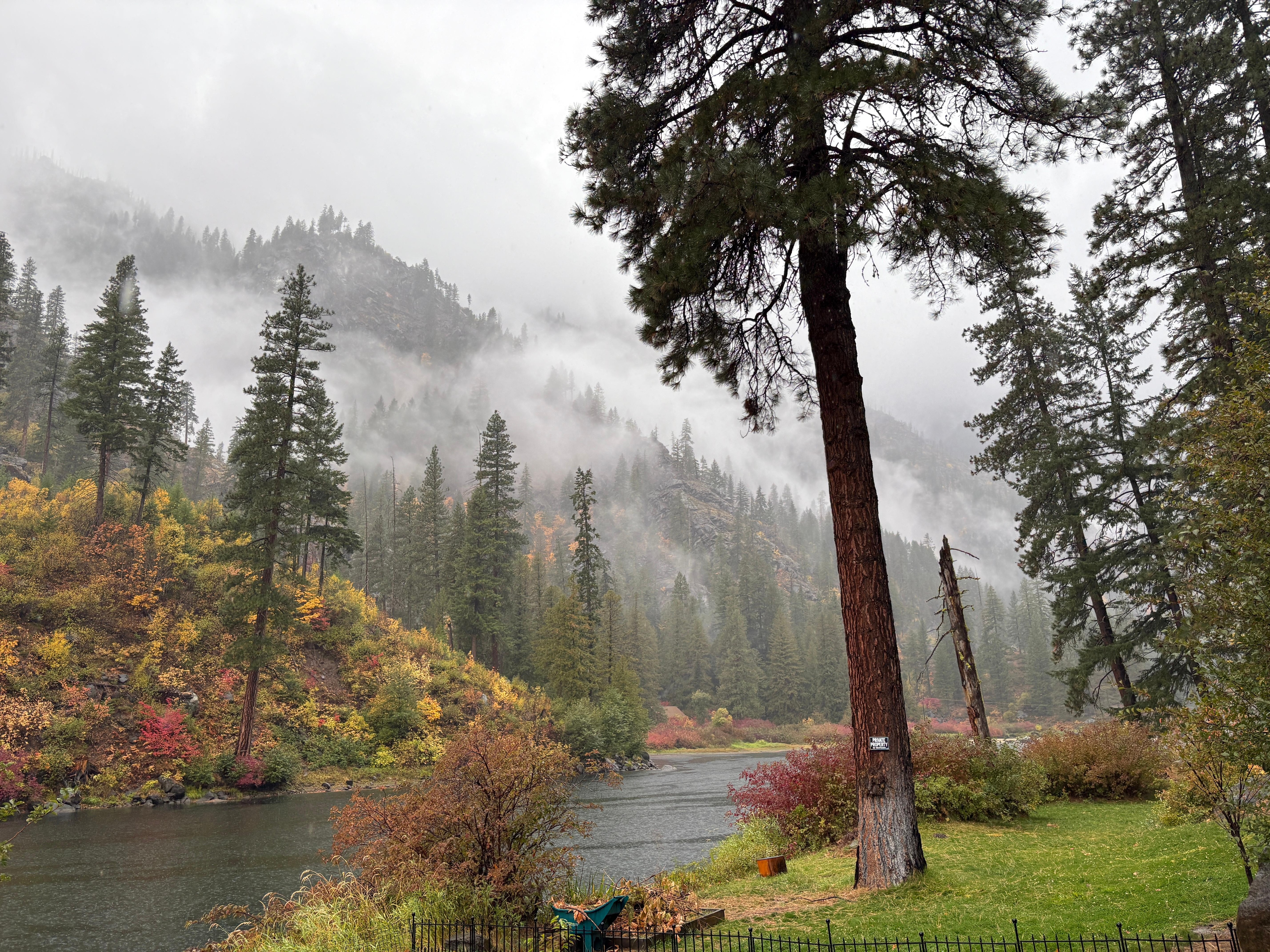 View that from patio that looks like a Bob Ross Painting.