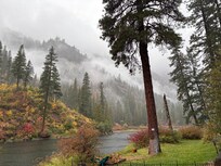 View that from patio that looks like a Bob Ross Painting.