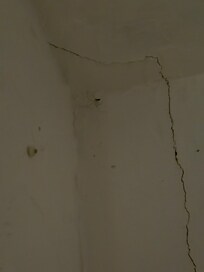 Spider in bedroom closet