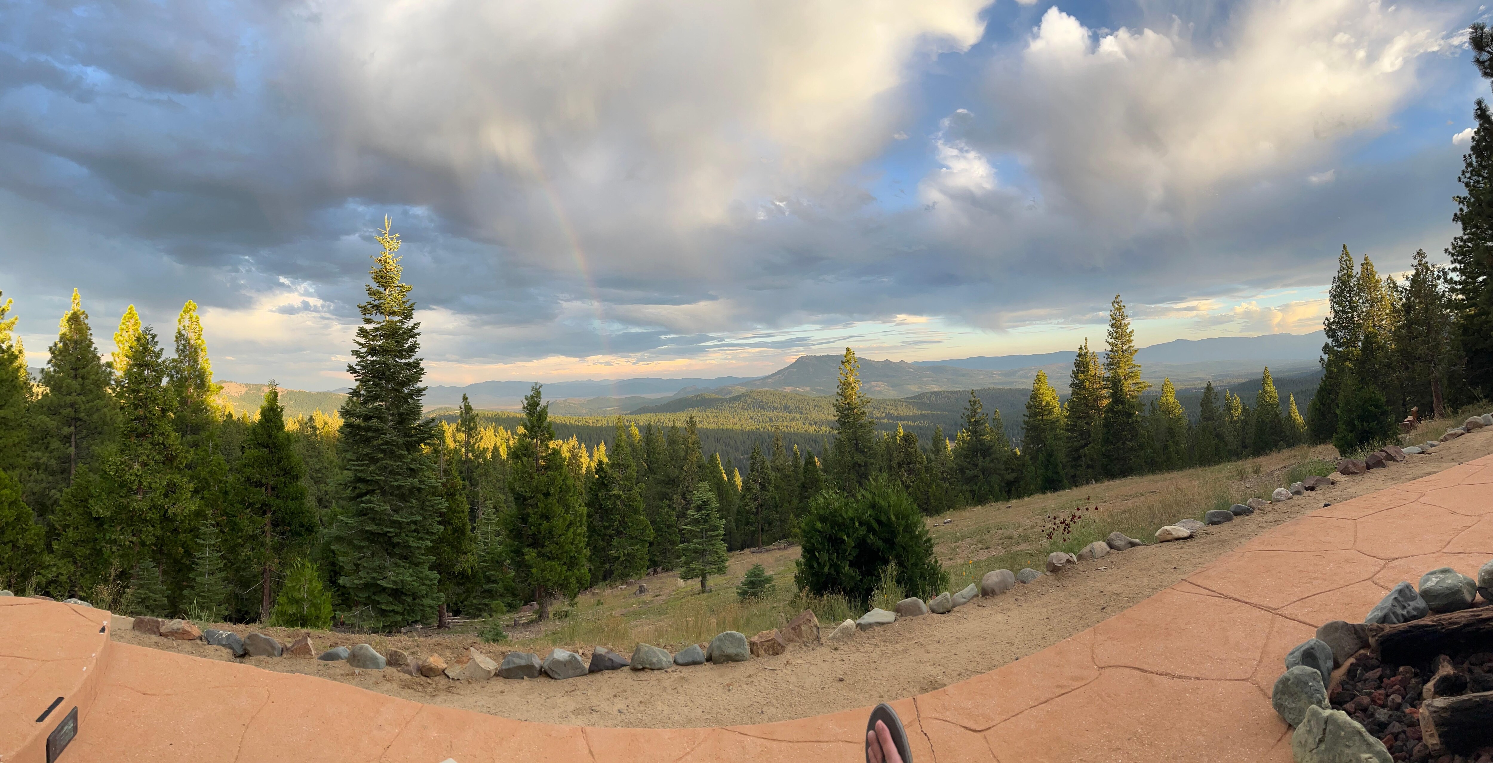 View from back porch